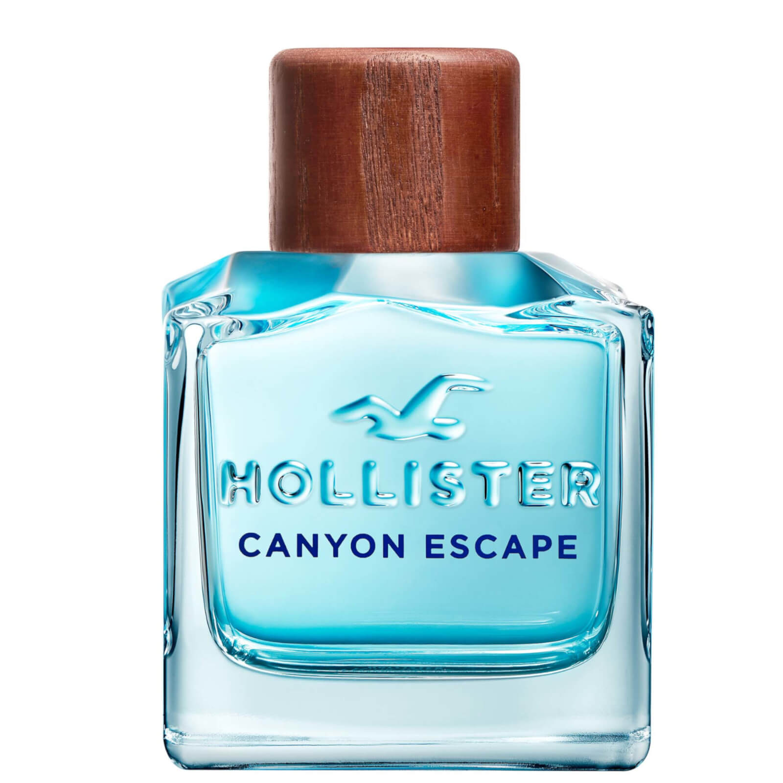 

Hollister Canyon Escape for Him Eau de Toilette 100ml