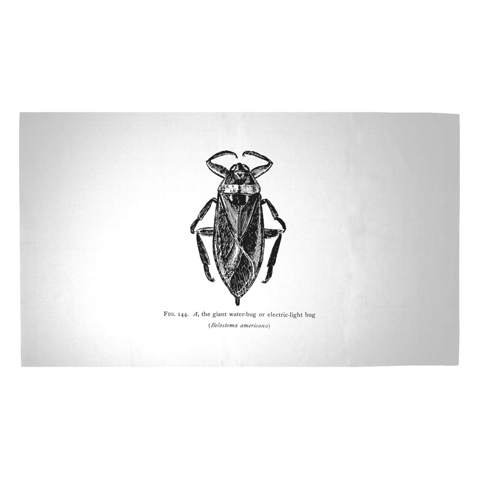 Water Bug Fig. Woven Rug - Medium