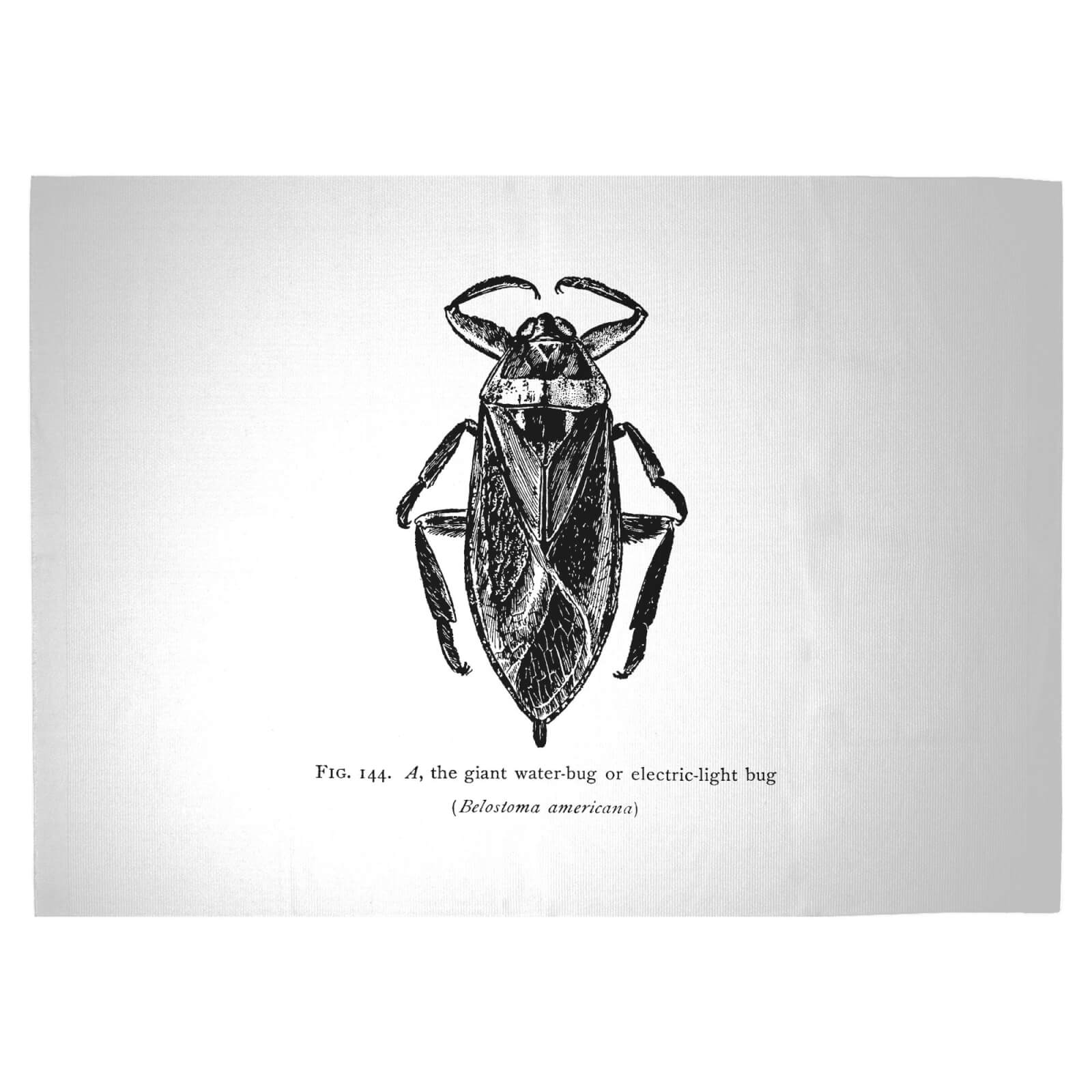 Water Bug Fig. Woven Rug - Large