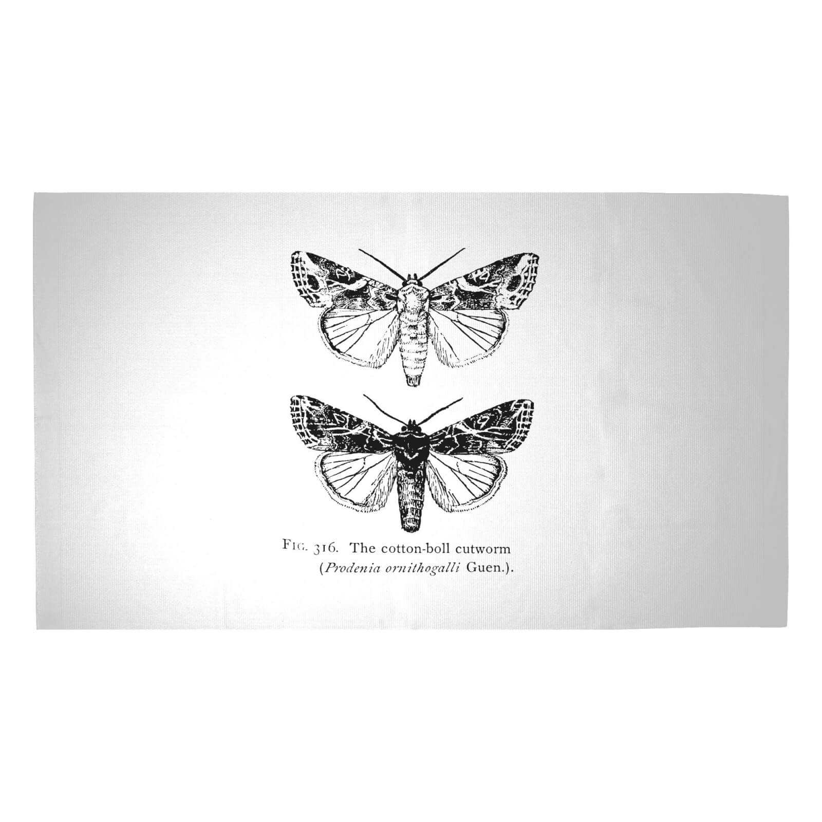 Moth Fig. Woven Rug - Medium