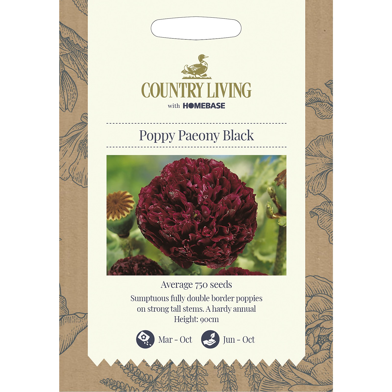 Photo of Country Living Poppy Paeony Black Seeds