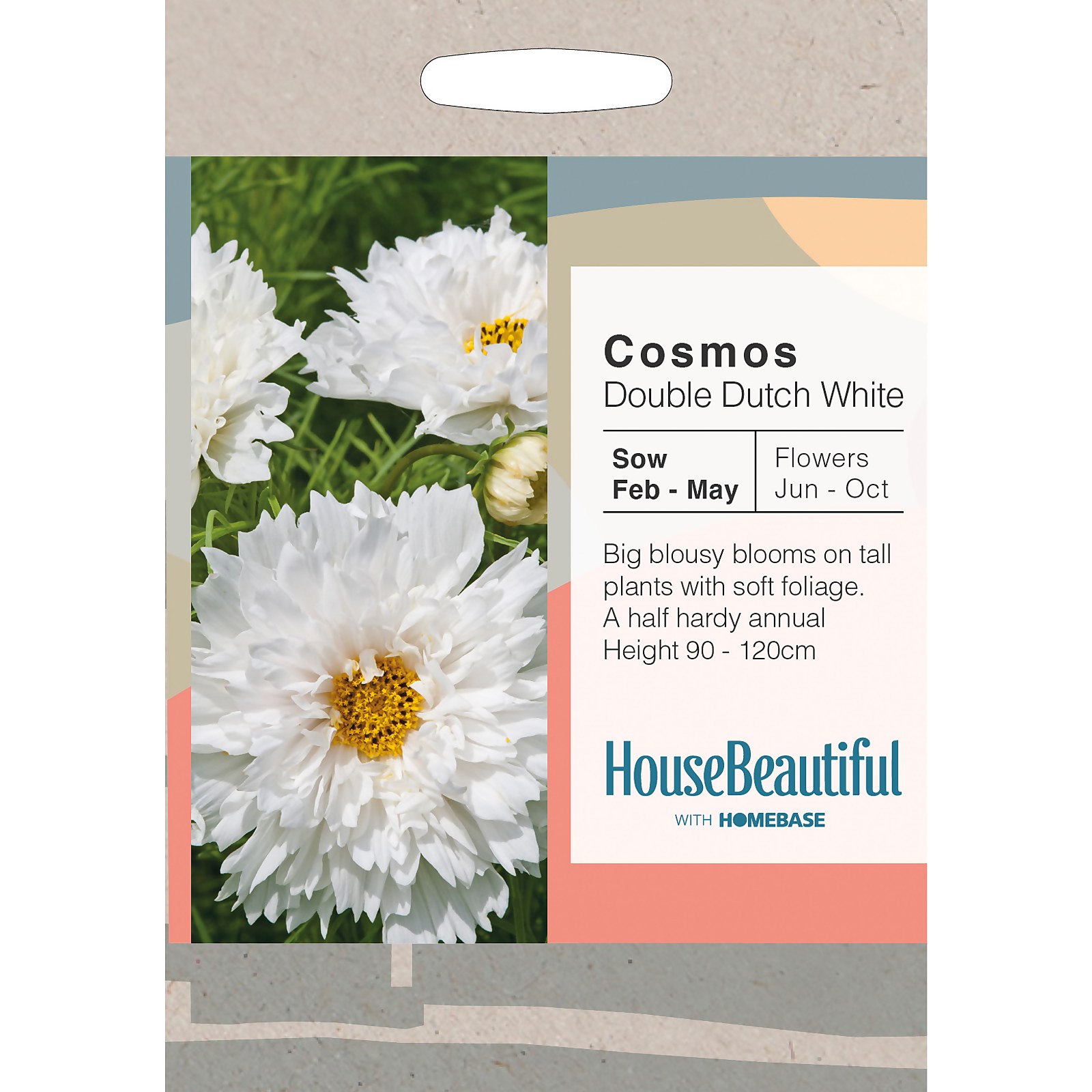 Photo of House Beautiful Cosmos Double Dutch White Seeds