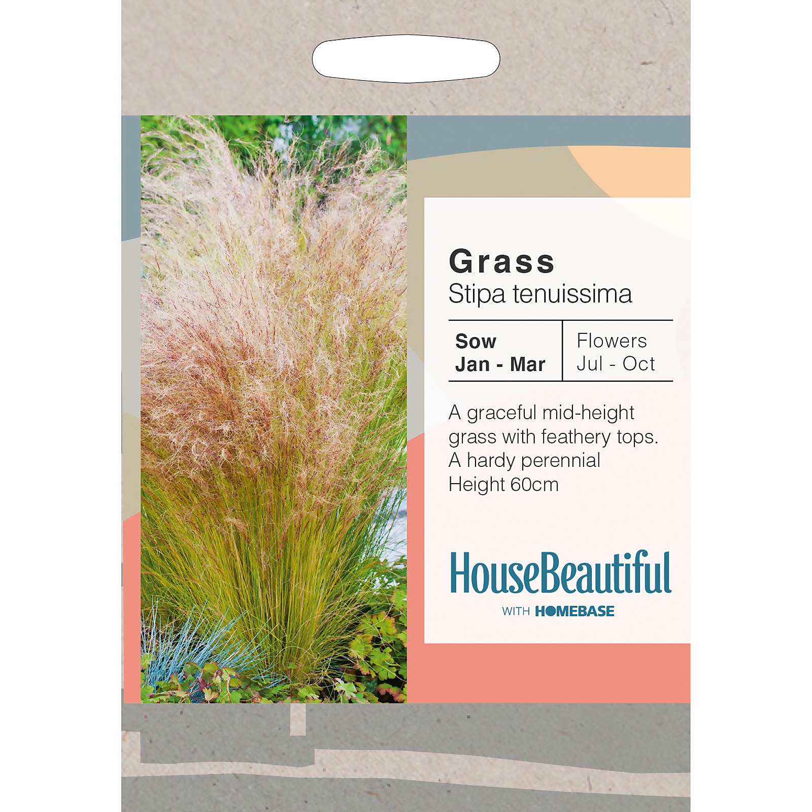 Photo of House Beautiful Grass Stipa Tenuissima Seeds