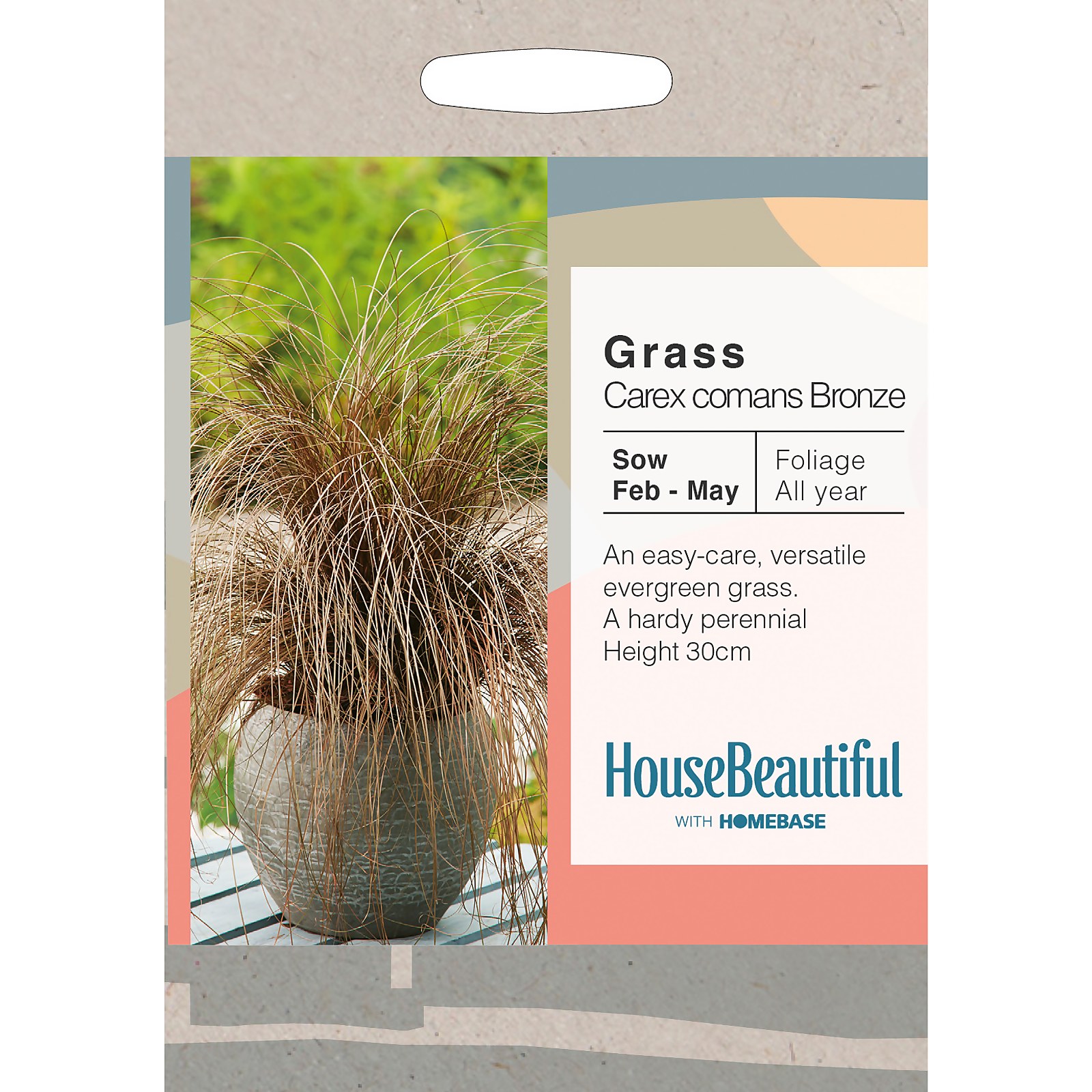 Photo of House Beautiful Grass Carex Comans Bronze Seeds