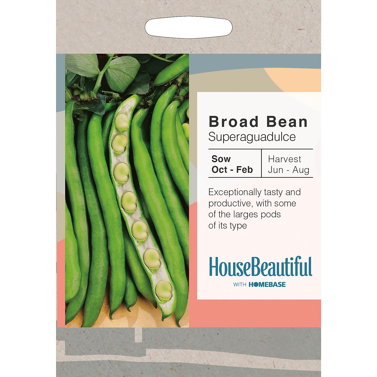 Photo of House Beautiful Broad Bean Superaguadulce Seeds