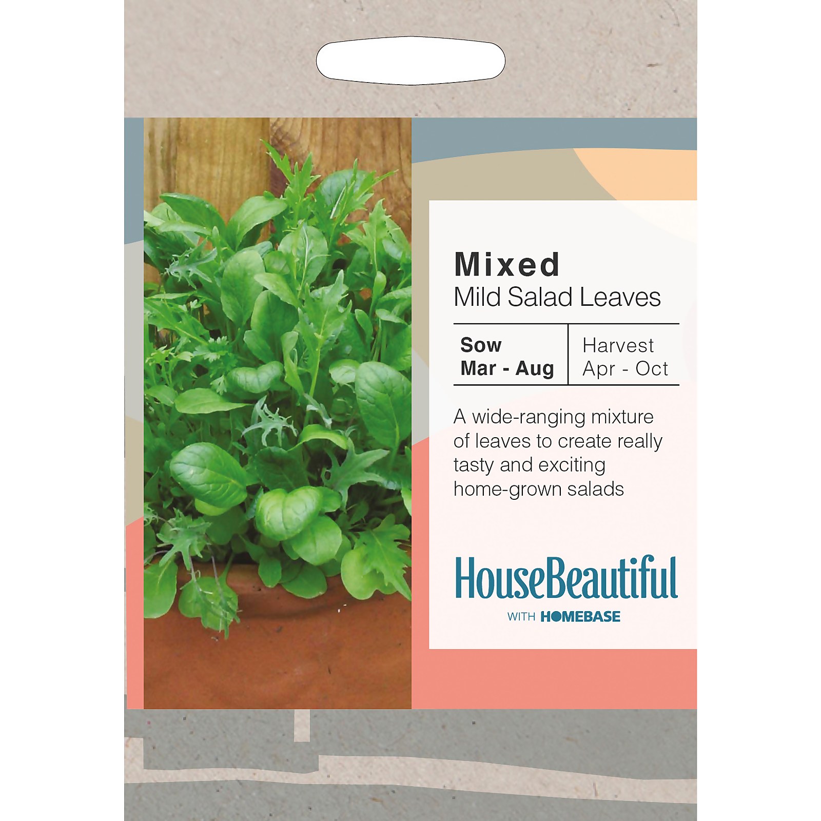 Photo of House Beautiful Mixed Mild Salad Leaves Seeds