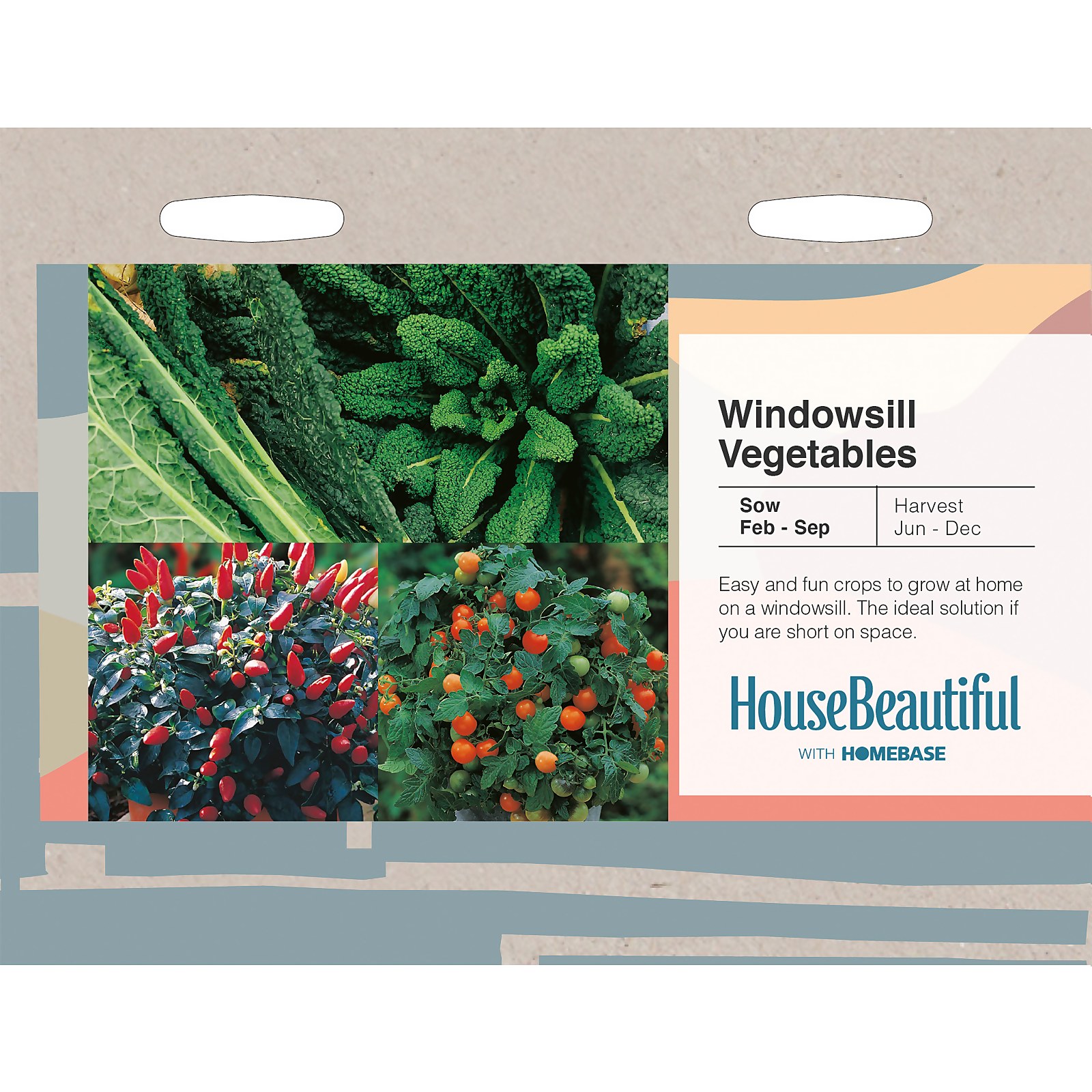 Photo of House Beautiful Windowsill Vegetables Seeds