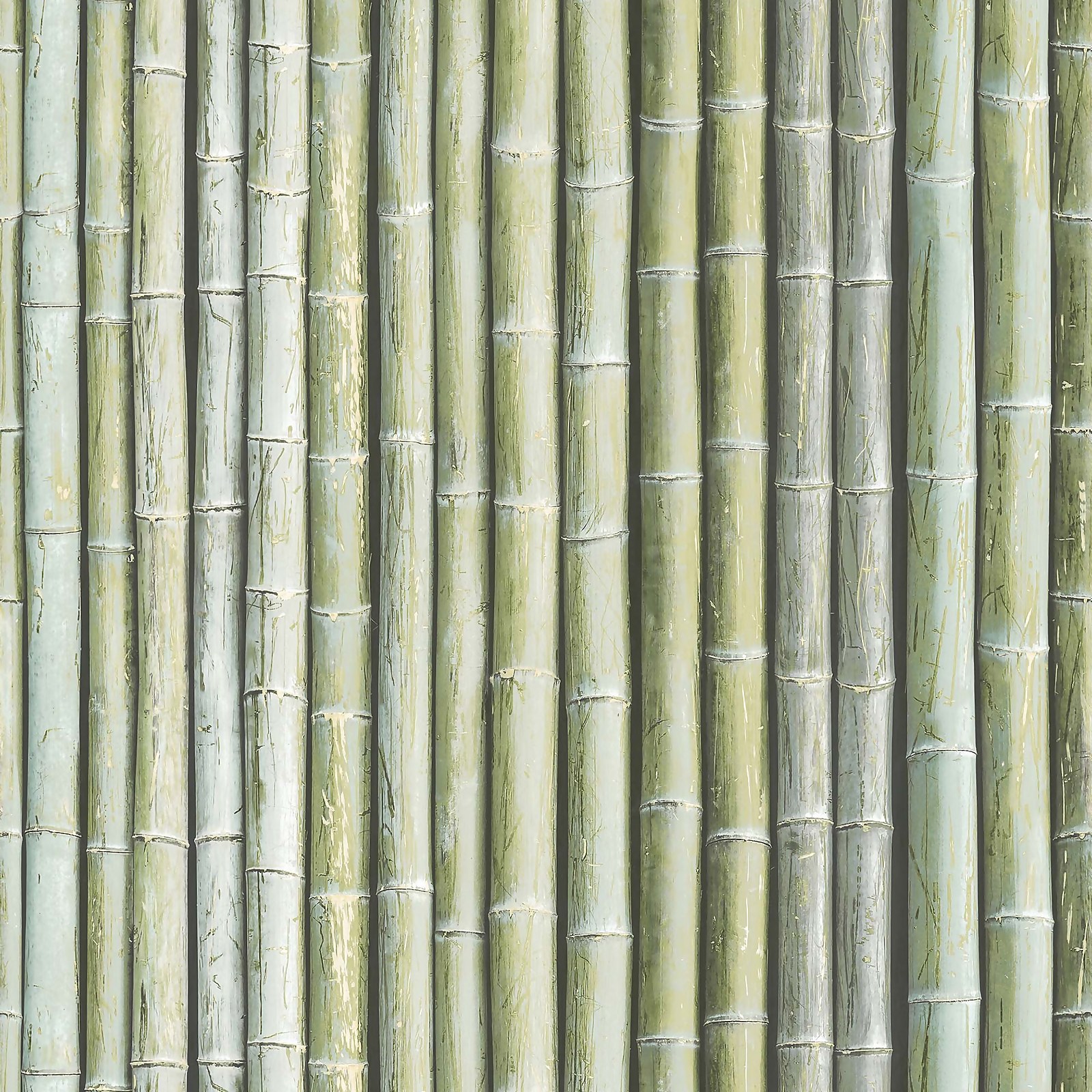 Photo of Organic Textures Bamboo Green Wallpaper