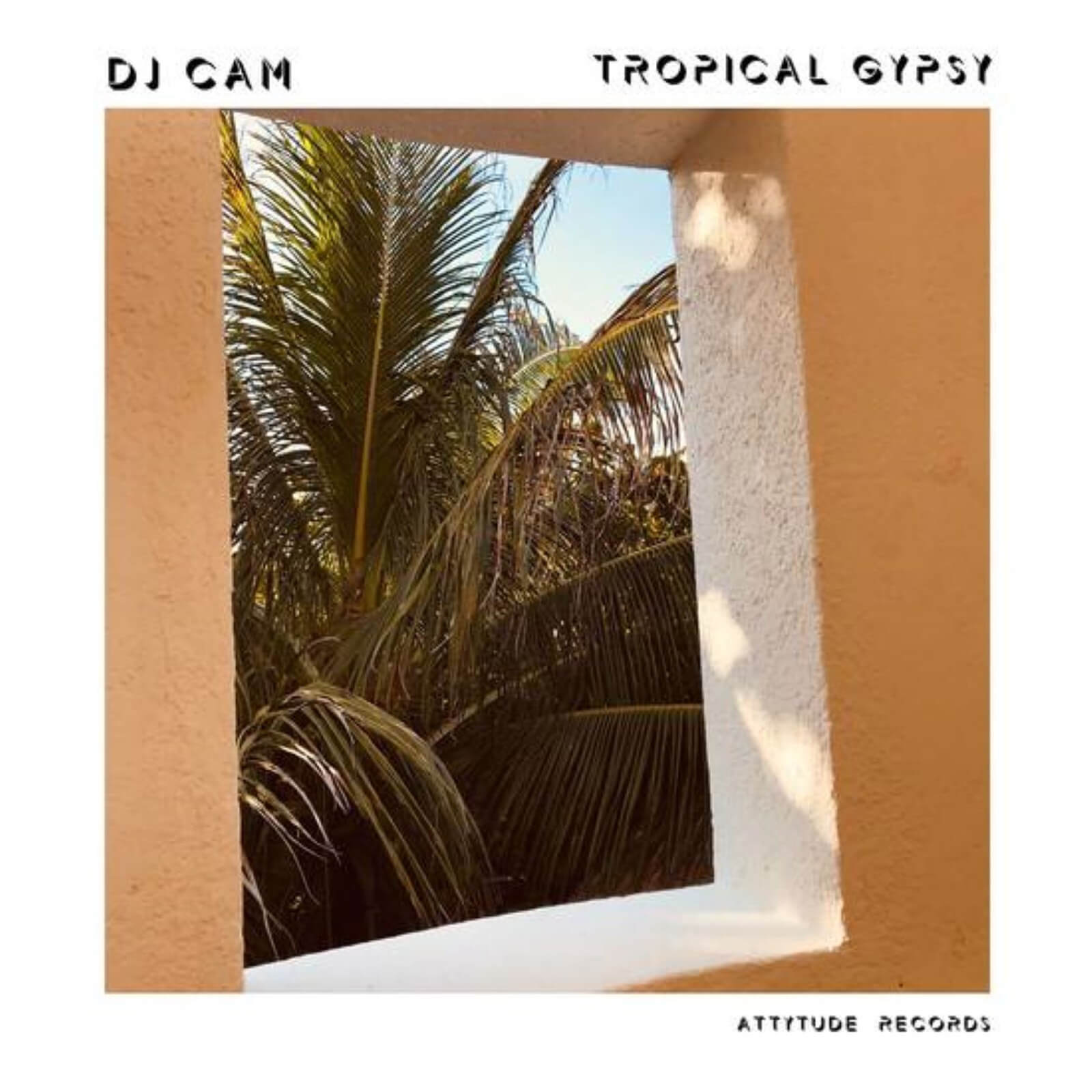 DJ Cam - Tropical Gypsy LP