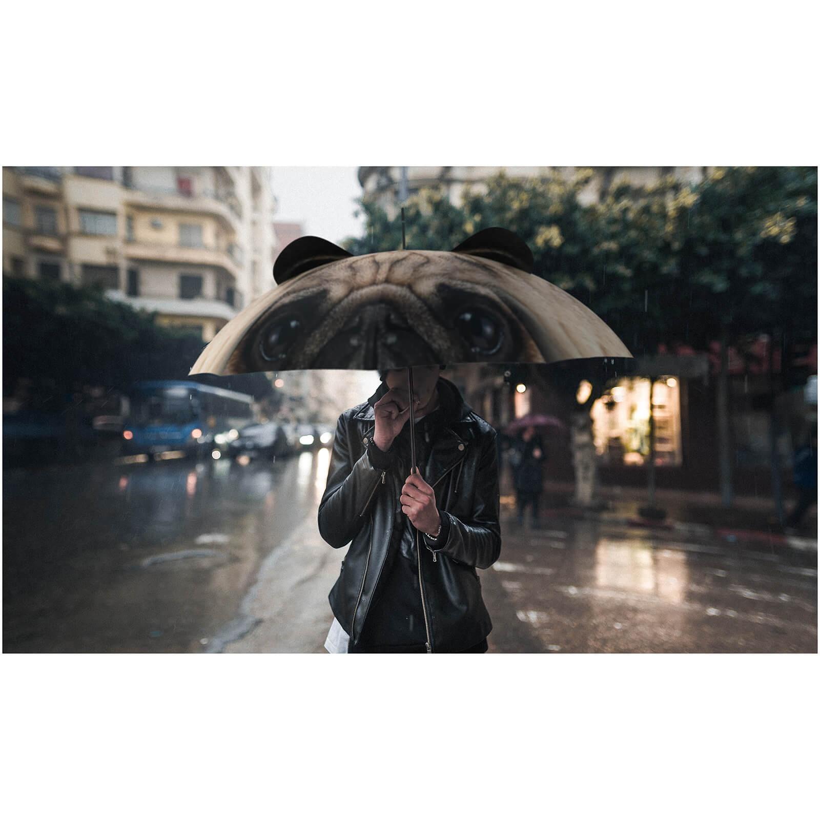 Pug Umbrella - Dog