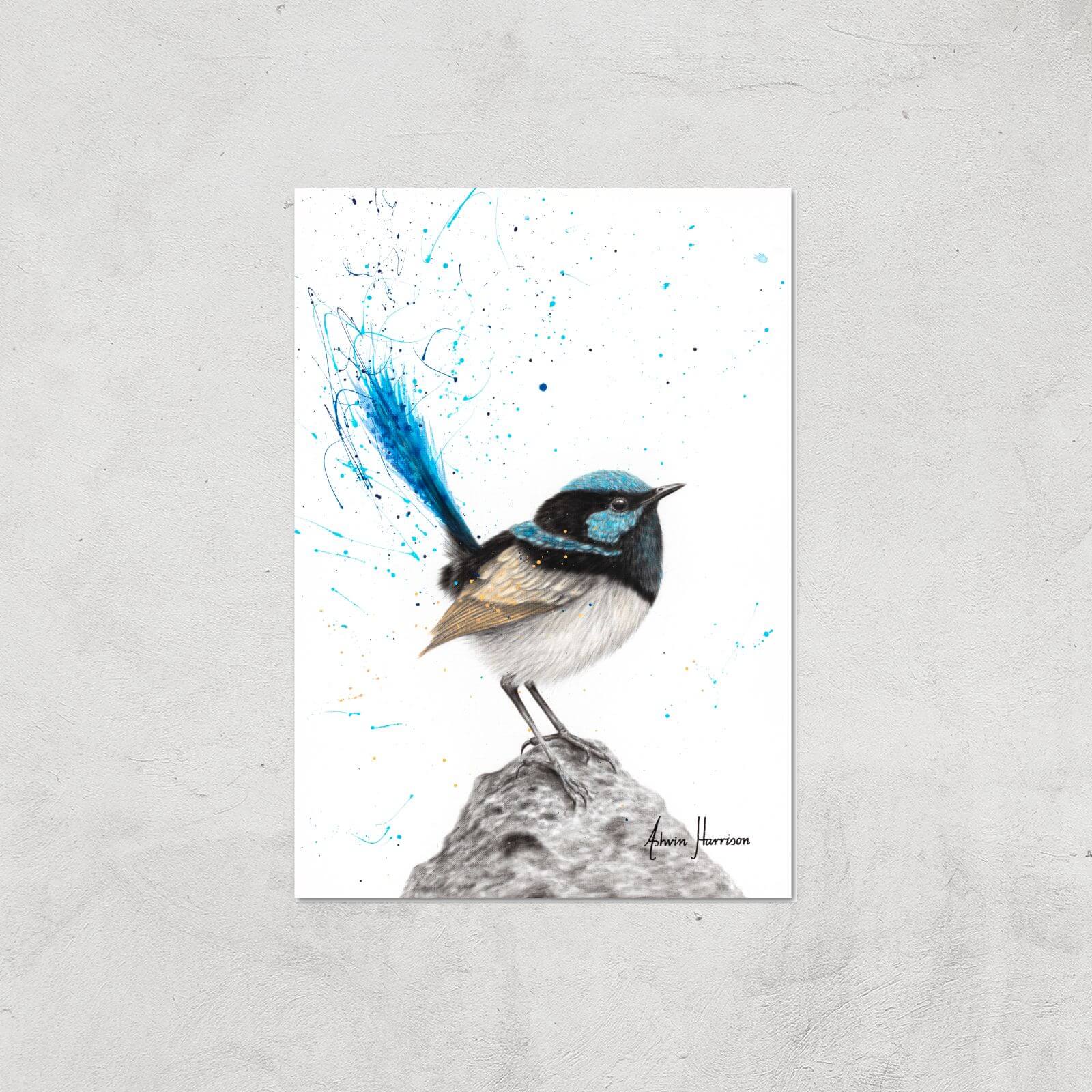 Mountain Blue Wren Giclee Art Print - A4 - Print Only