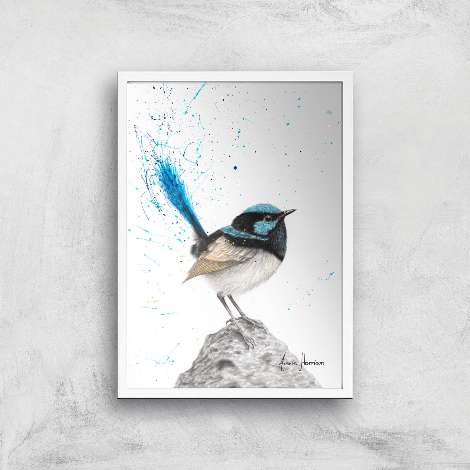 Mountain Blue Wren Giclee Art Print - A4 - White Frame