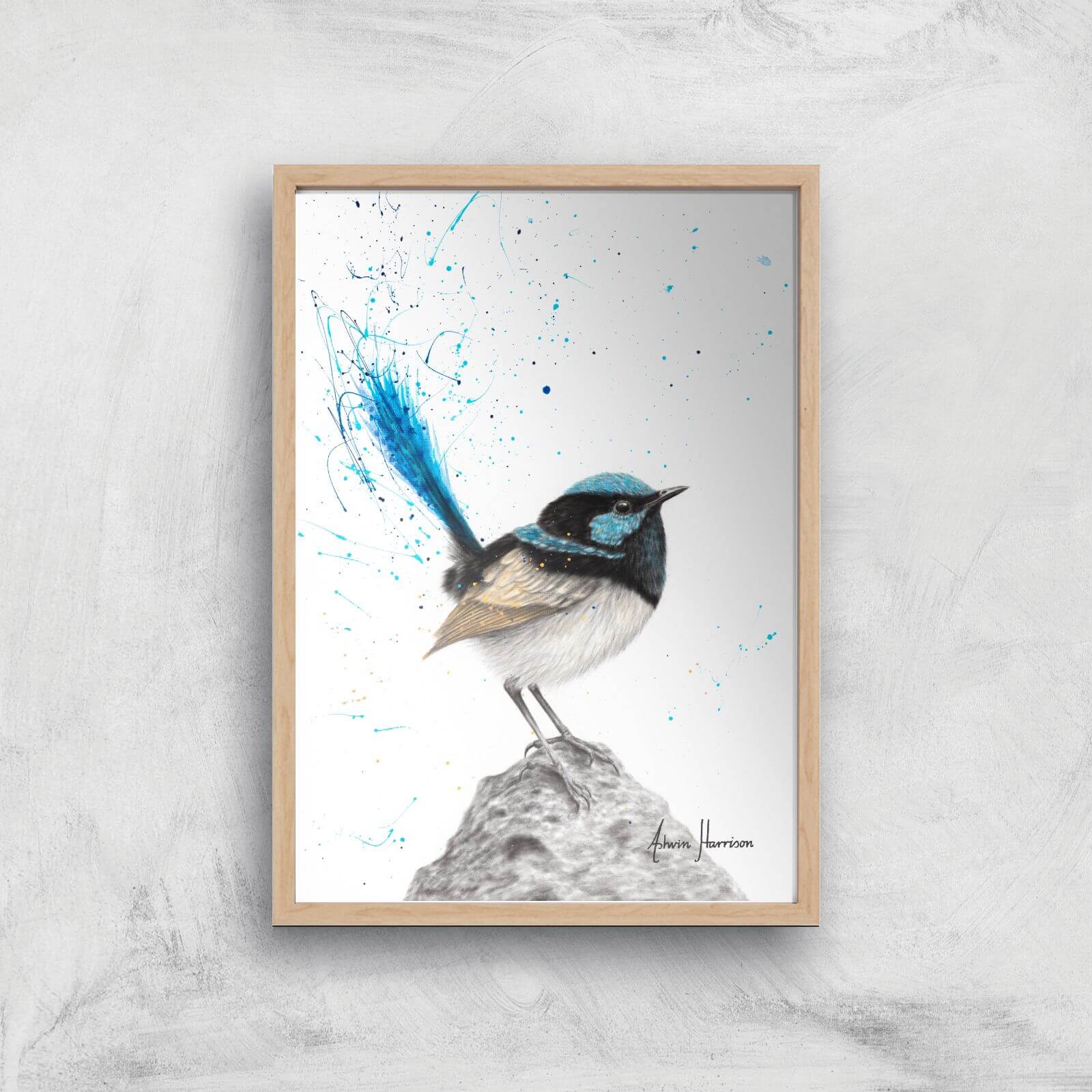 Mountain Blue Wren Giclee Art Print - A3 - Wooden Frame