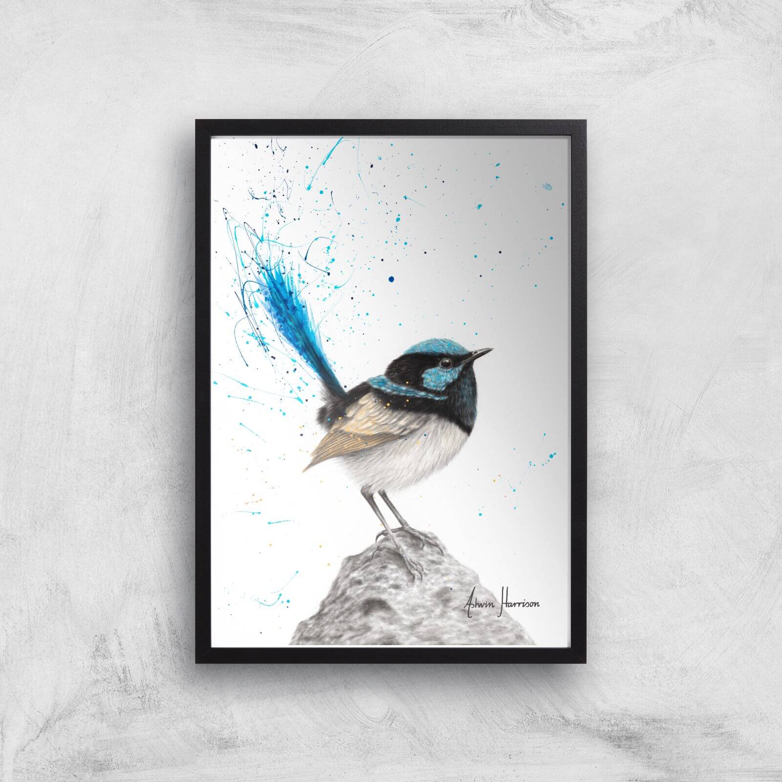Mountain Blue Wren Giclee Art Print - A3 - Black Frame