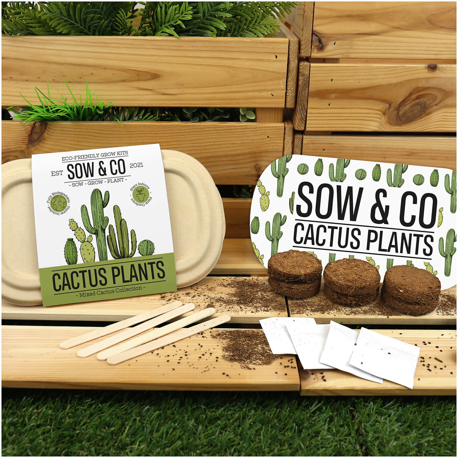 Sow and Co Grow Kit - Cactus