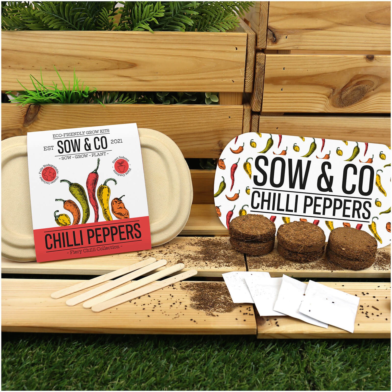 Image of Sow and Co Grow Kit - Chilli