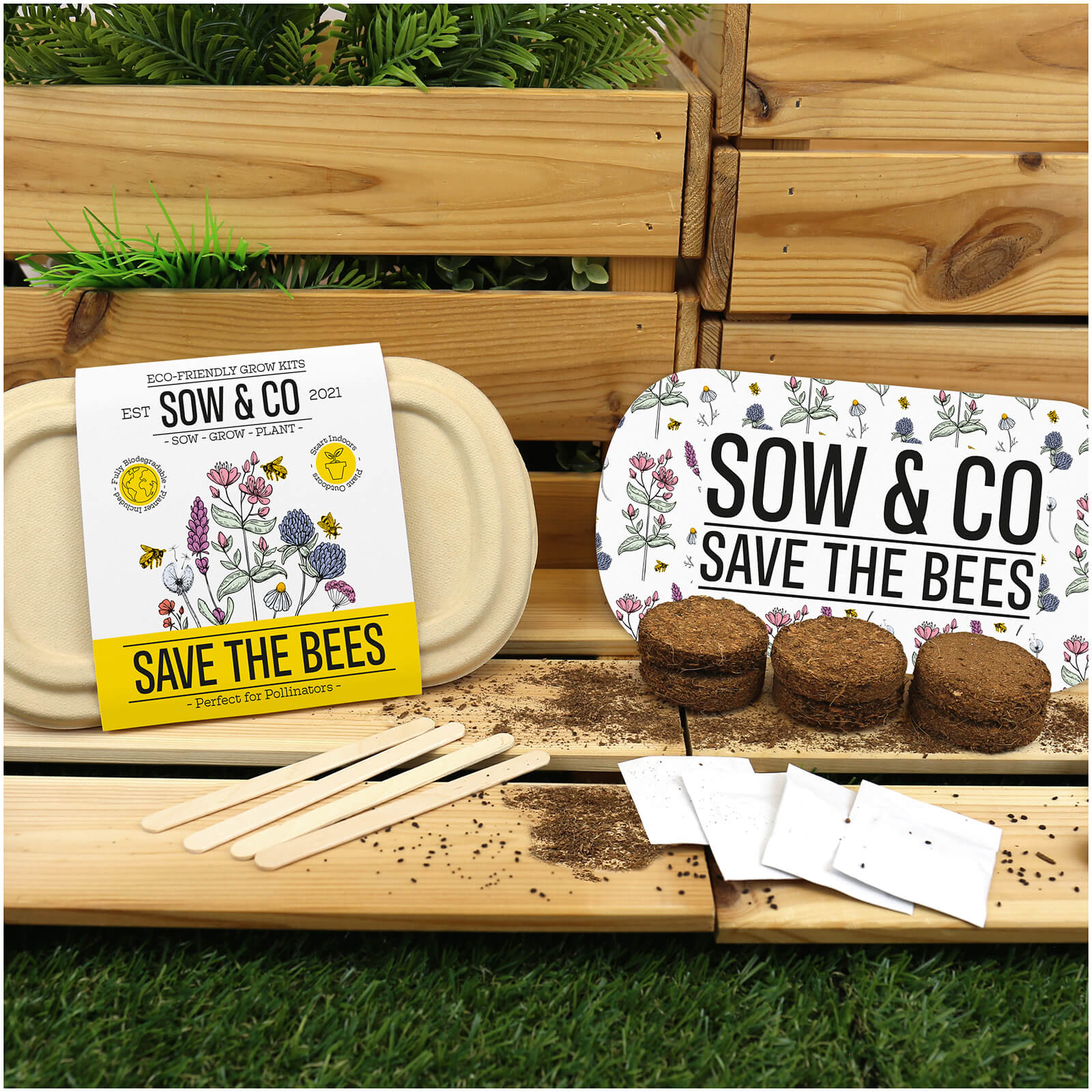 Sow and Co Grow Kit - Save the Bees