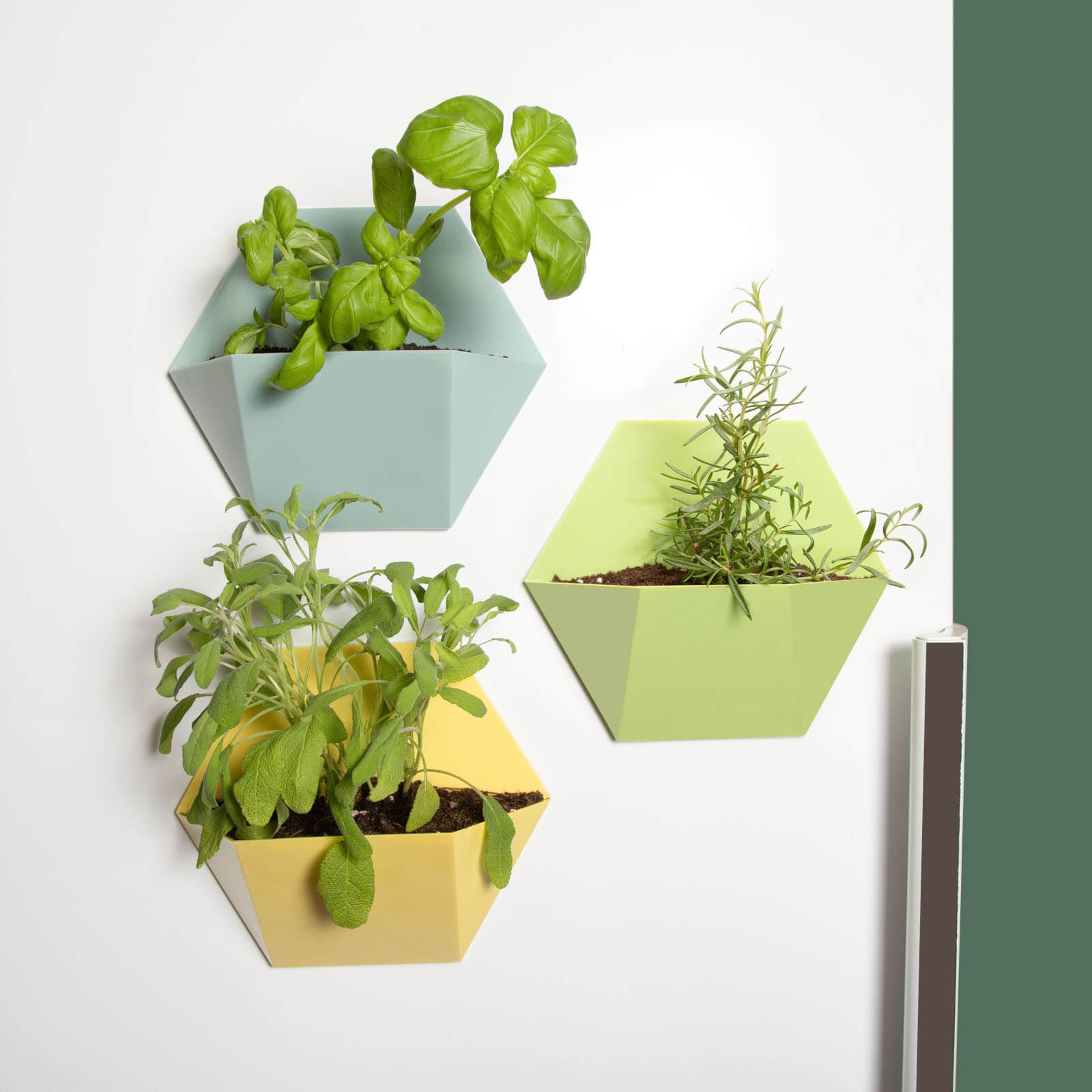 Magnetic Plant Pots