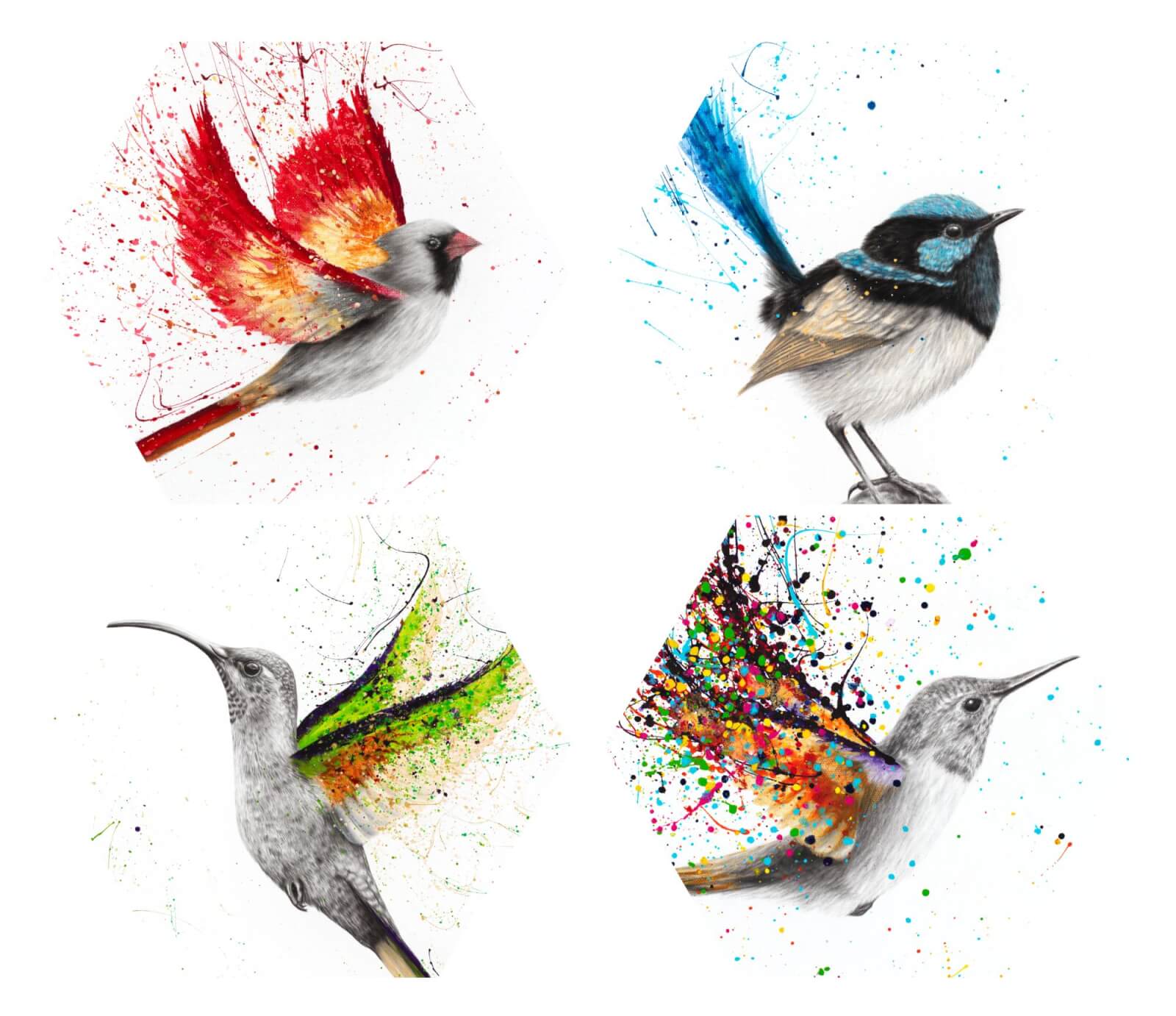 Ornithology Collection Hexagonal Coaster Set