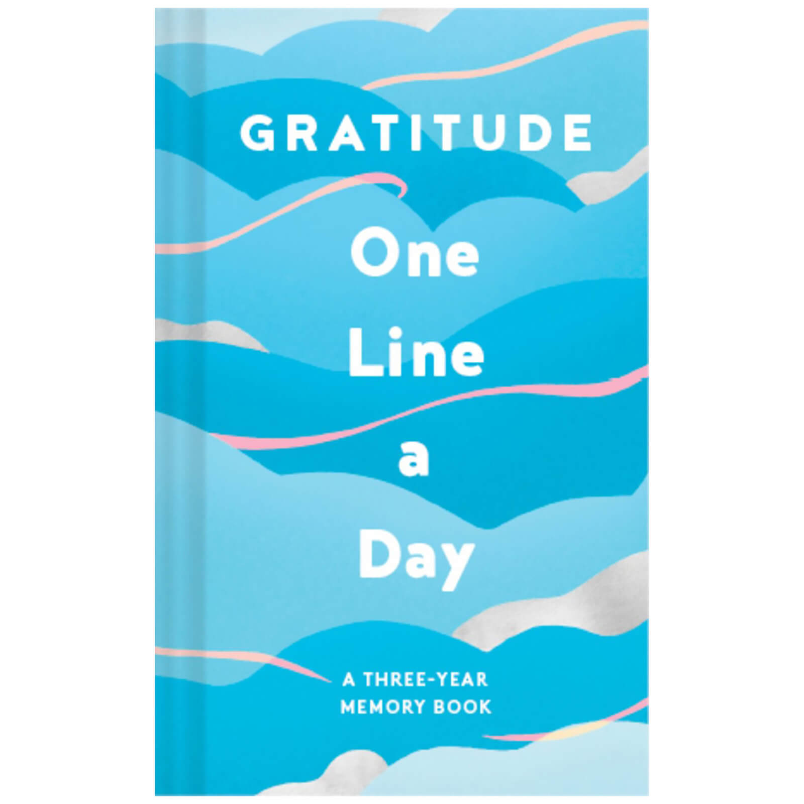 Gratitude One Line a Day