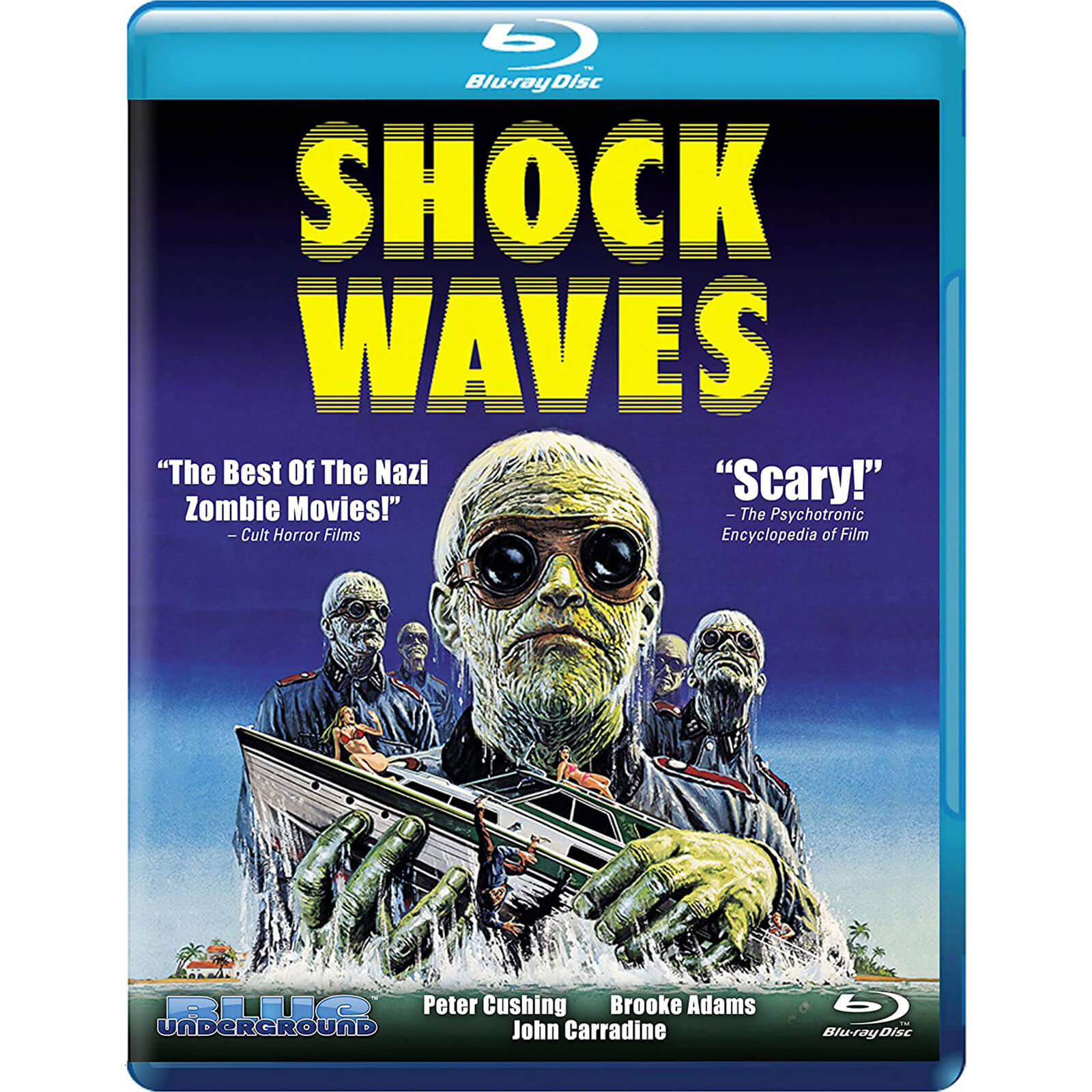 

Shock Waves