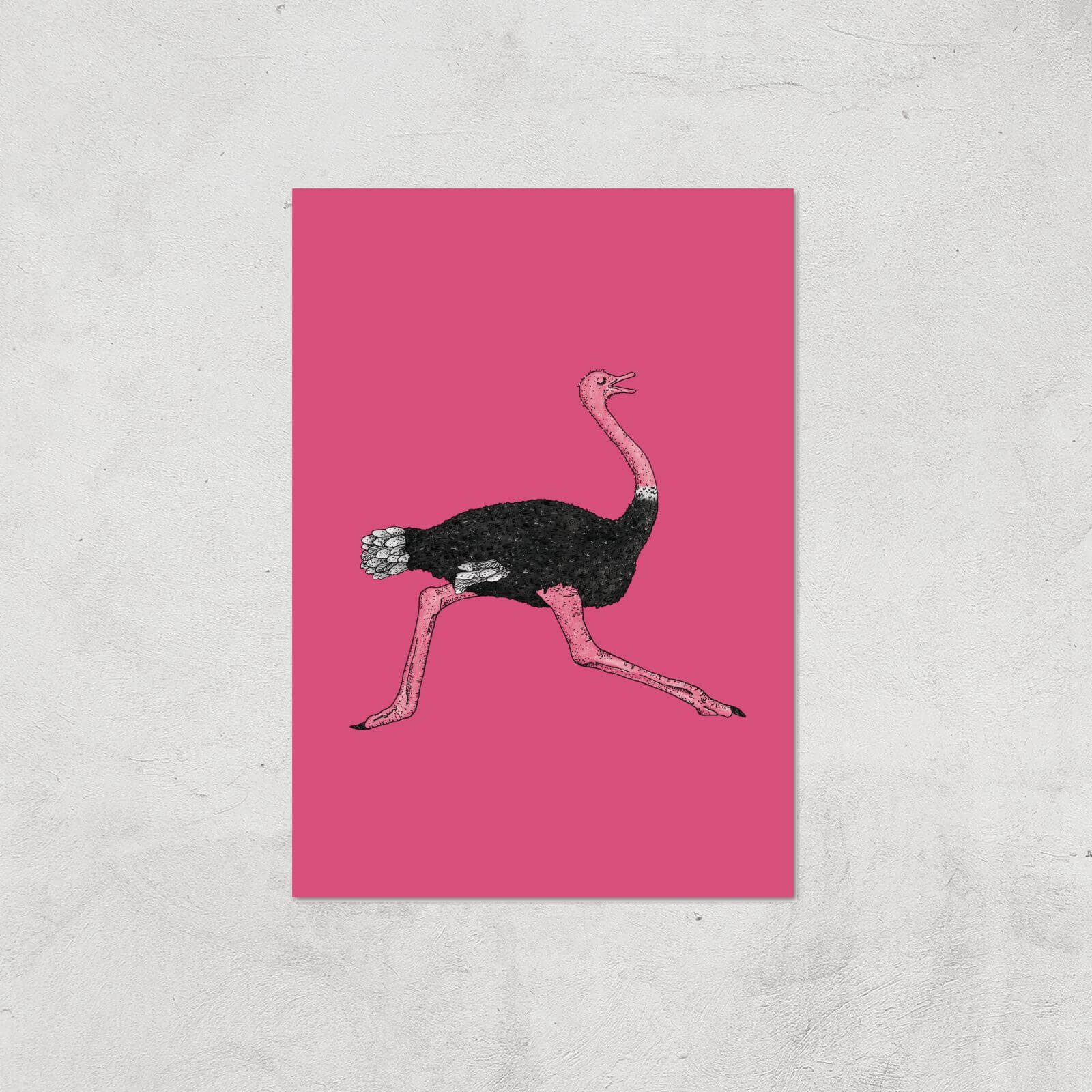 Ostrich Giclee Art Print - A4 - Print Only