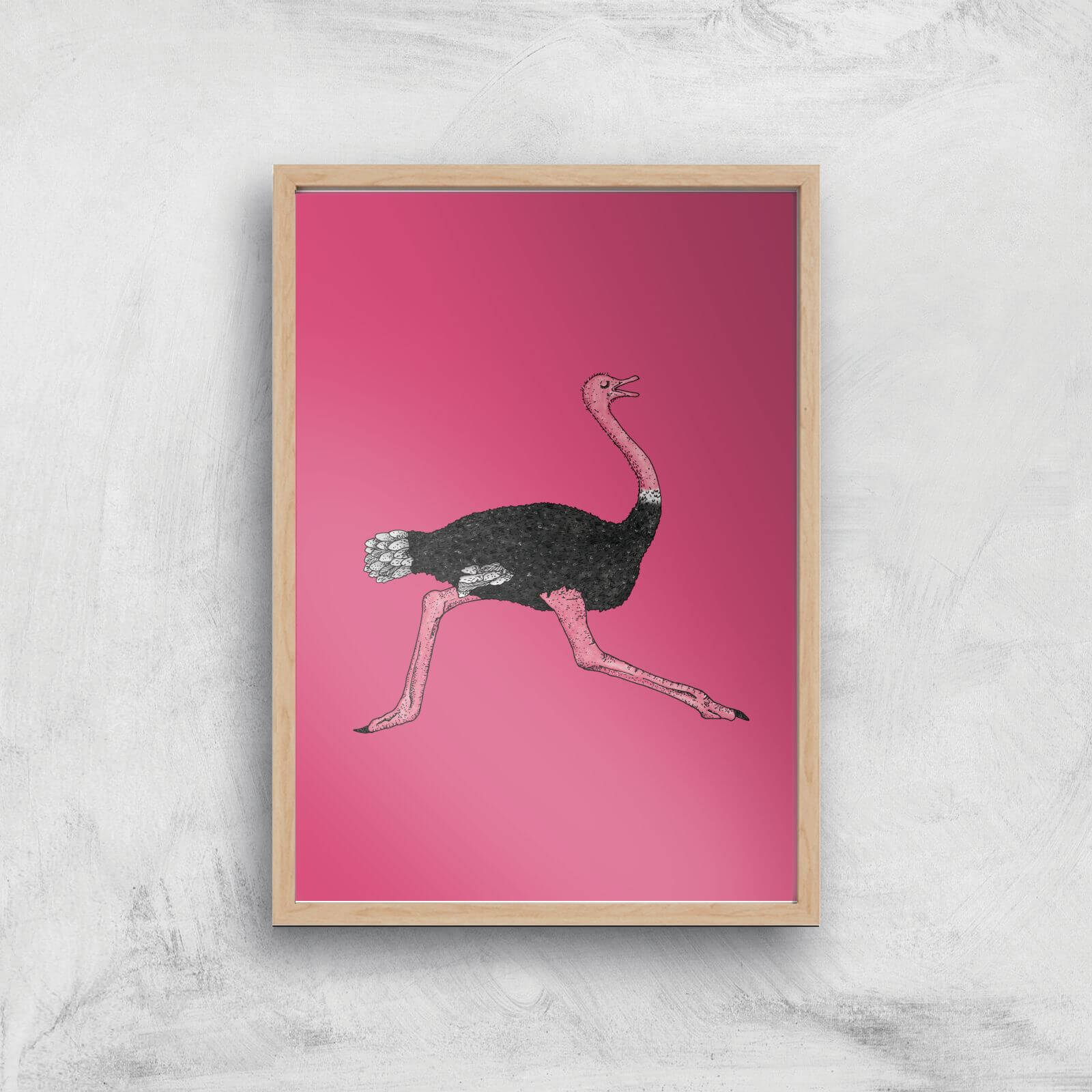 Ostrich Giclee Art Print - A3 - Wooden Frame