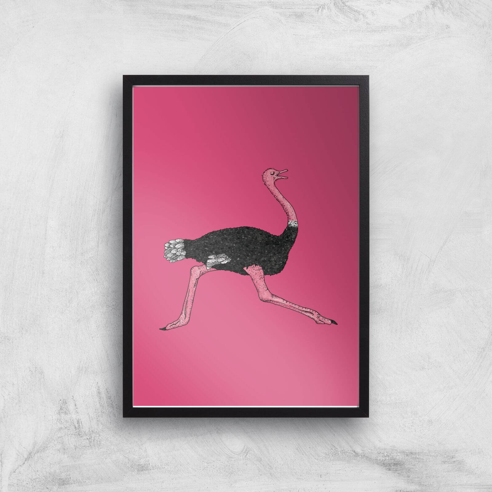 Ostrich Giclee Art Print - A3 - Black Frame