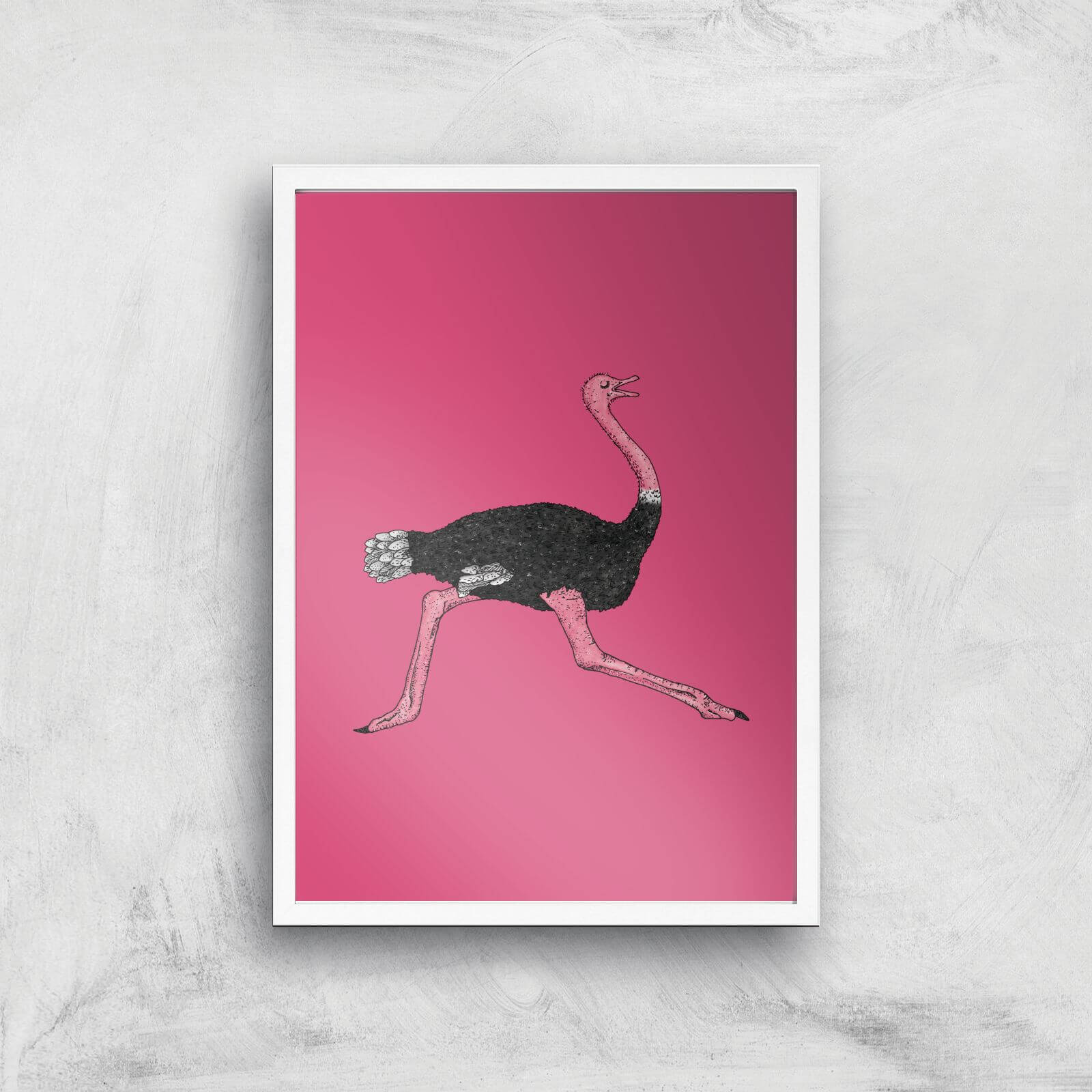 Ostrich Giclee Art Print - A2 - White Frame