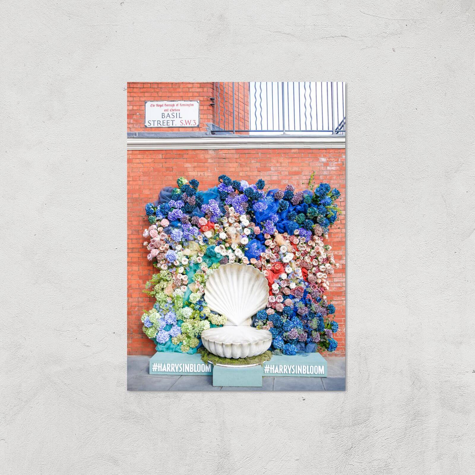 Shells Colourful Explosion Giclee Art Print - A3 - Print Only