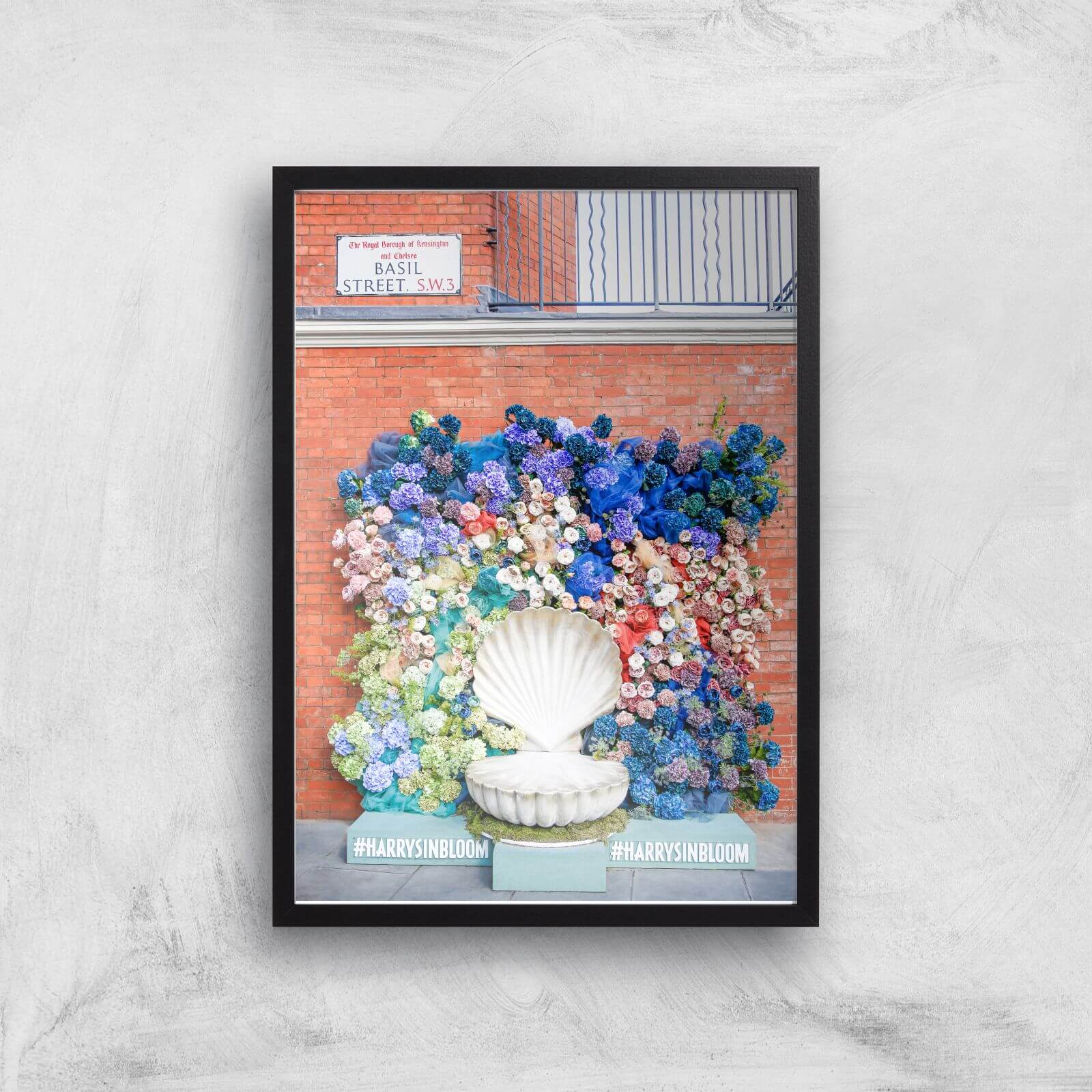 Shells Colourful Explosion Giclee Art Print - A2 - Black Frame