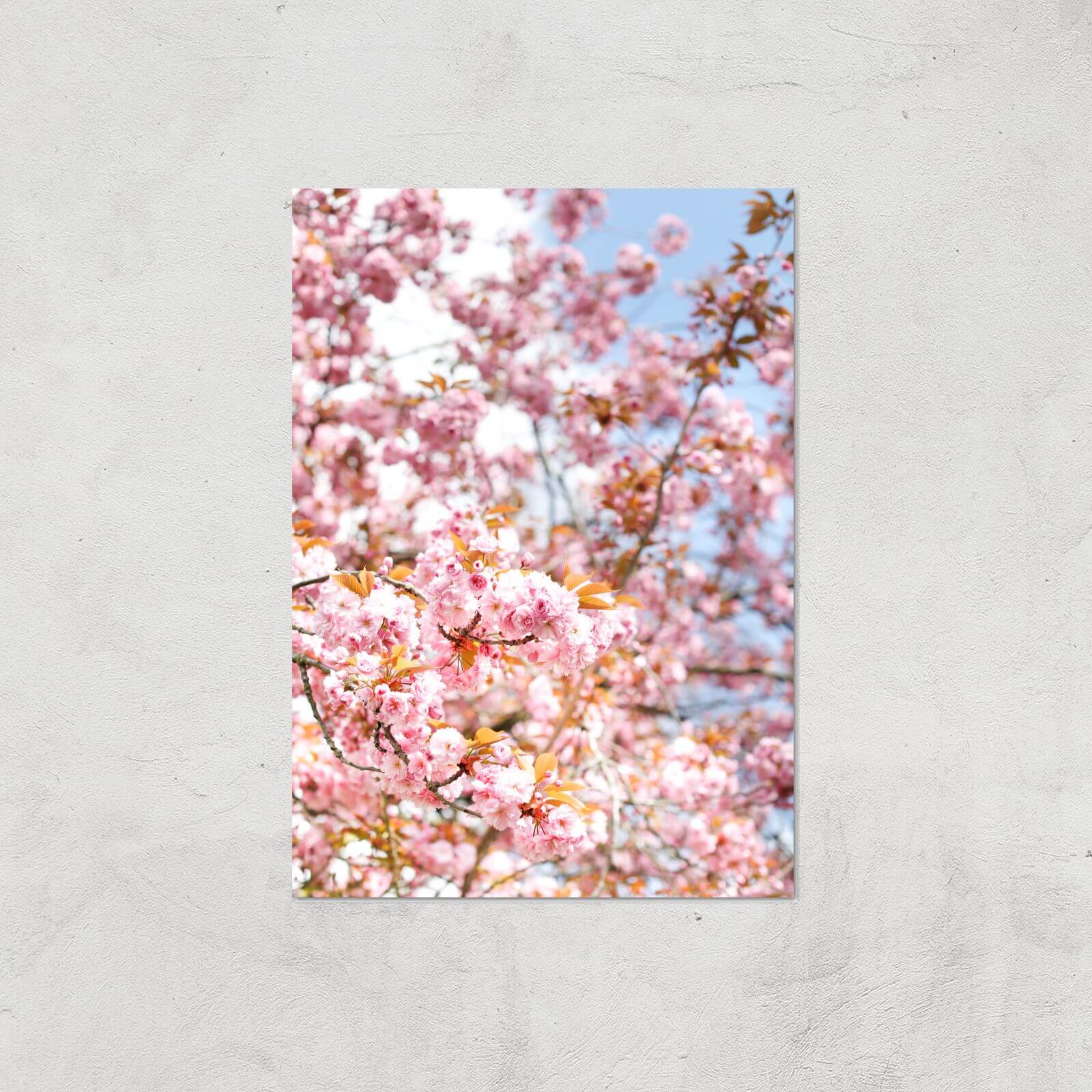 Blossom Giclee Art Print - A4 - Print Only