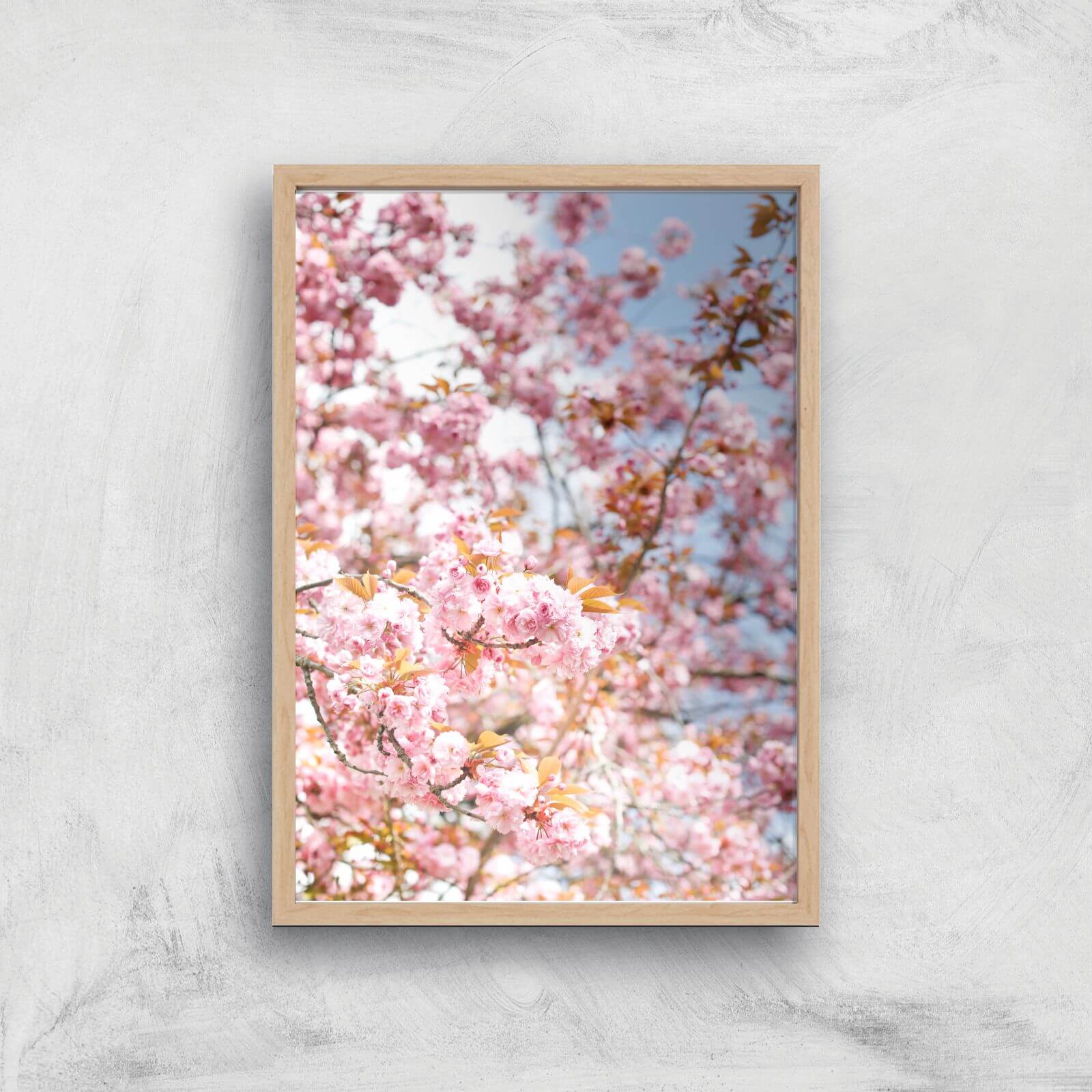 Blossom Giclee Art Print - A3 - Wooden Frame