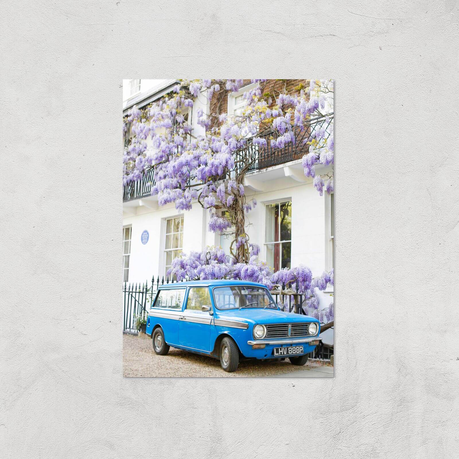 Lilac Banger Giclee Art Print - A3 - Print Only