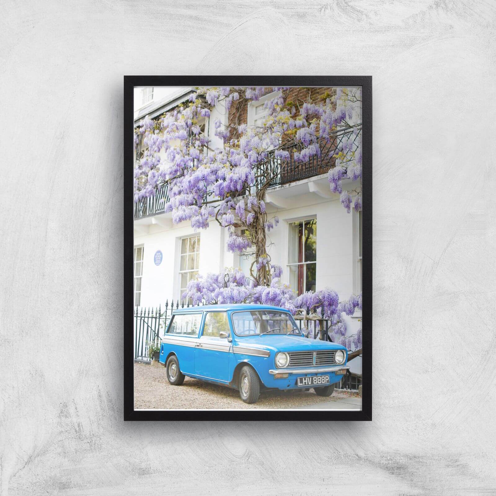 Lilac Banger Giclee Art Print - A3 - Black Frame