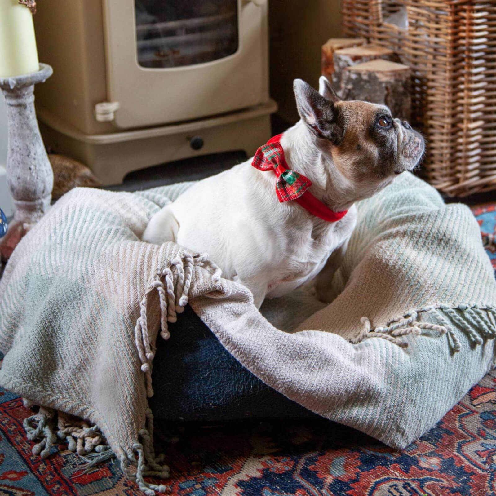 Hound Christmas Tartan Bowtie