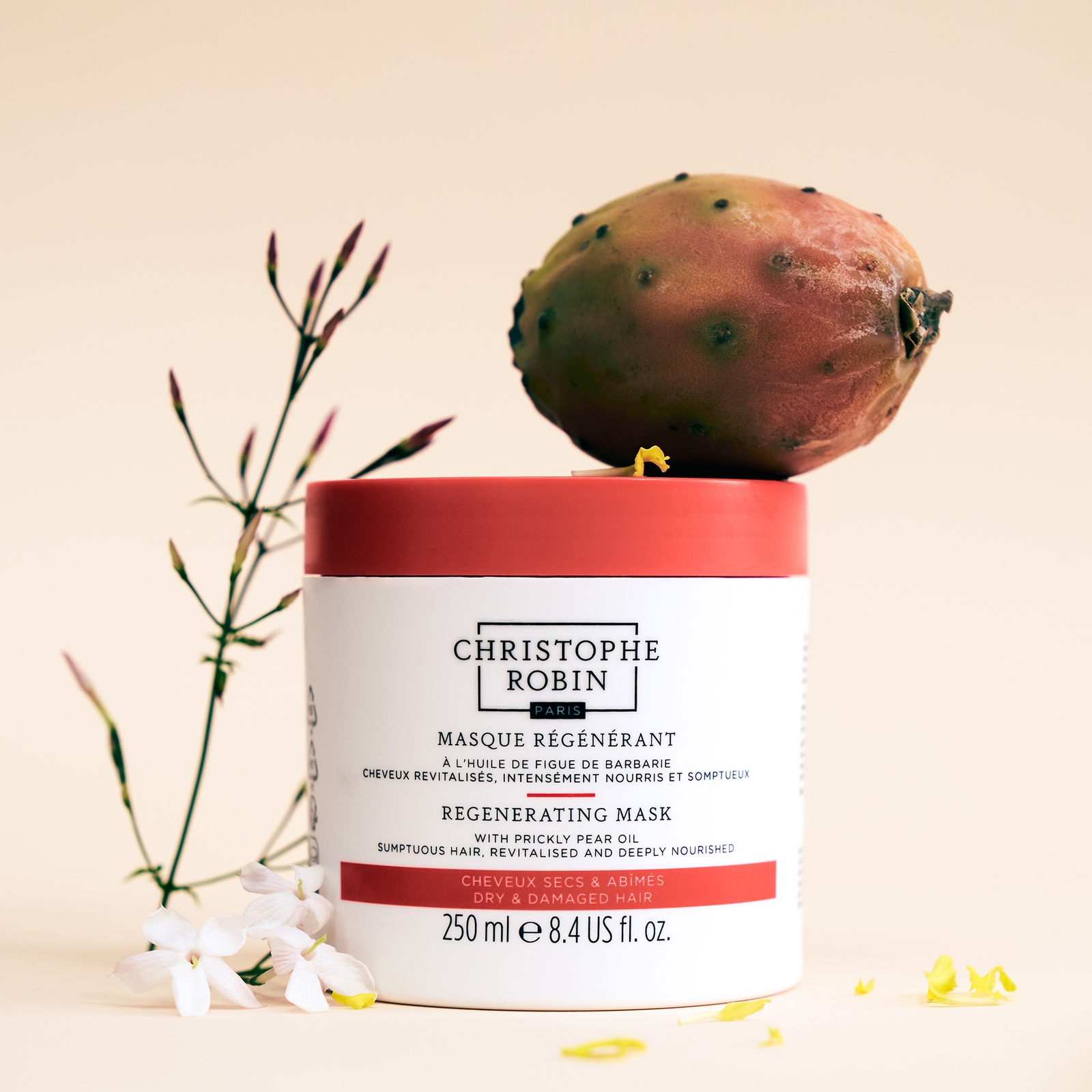 Thumbnail - Christophe Robin Perfect Hair Regimen