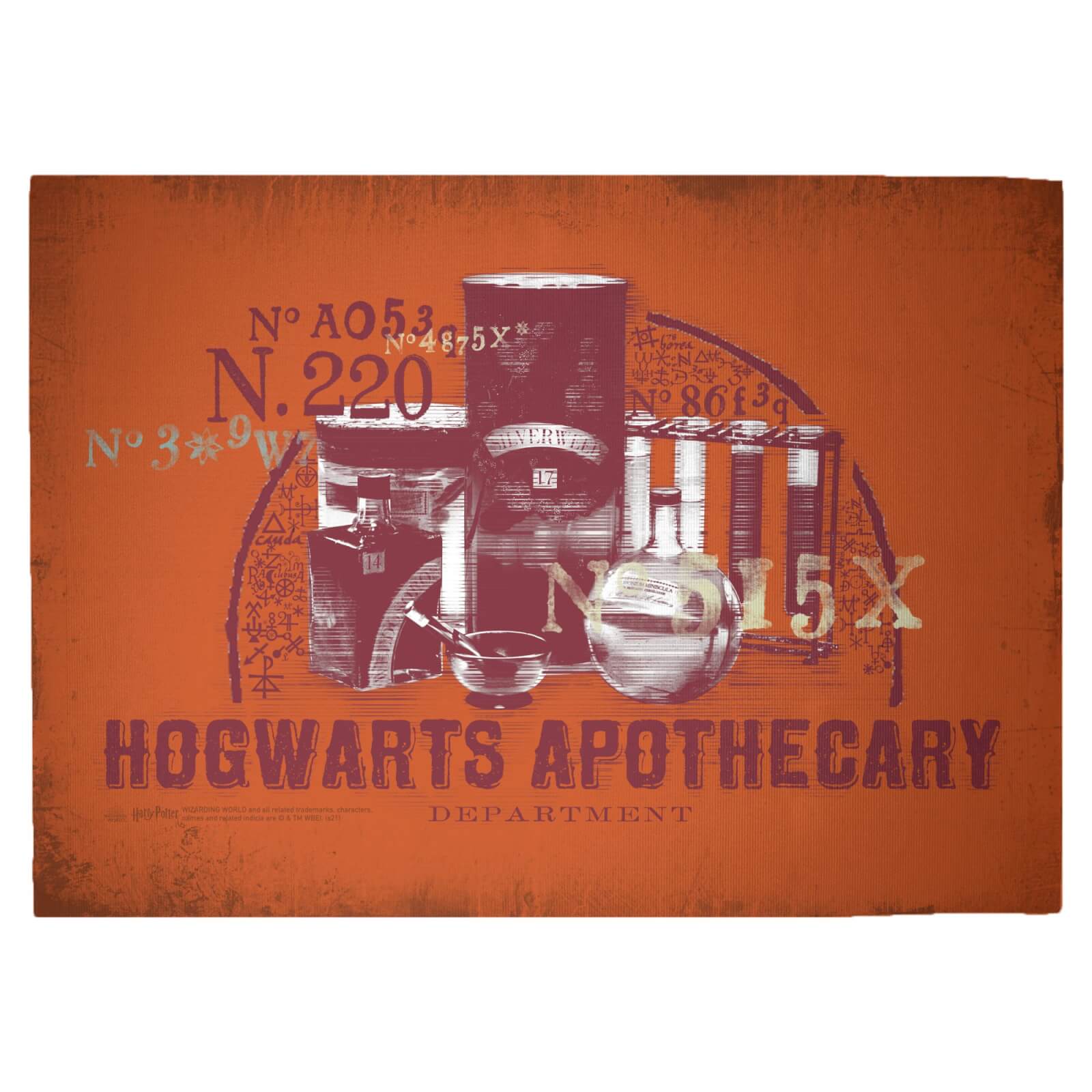 Decorsome x Harry Potter Hogwarts Apothecary Woven Rug - Large