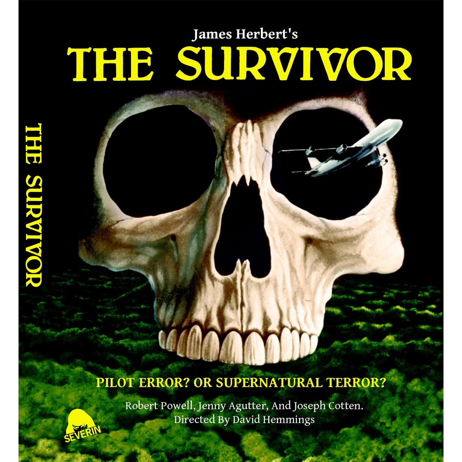 The Survivor (US Import)