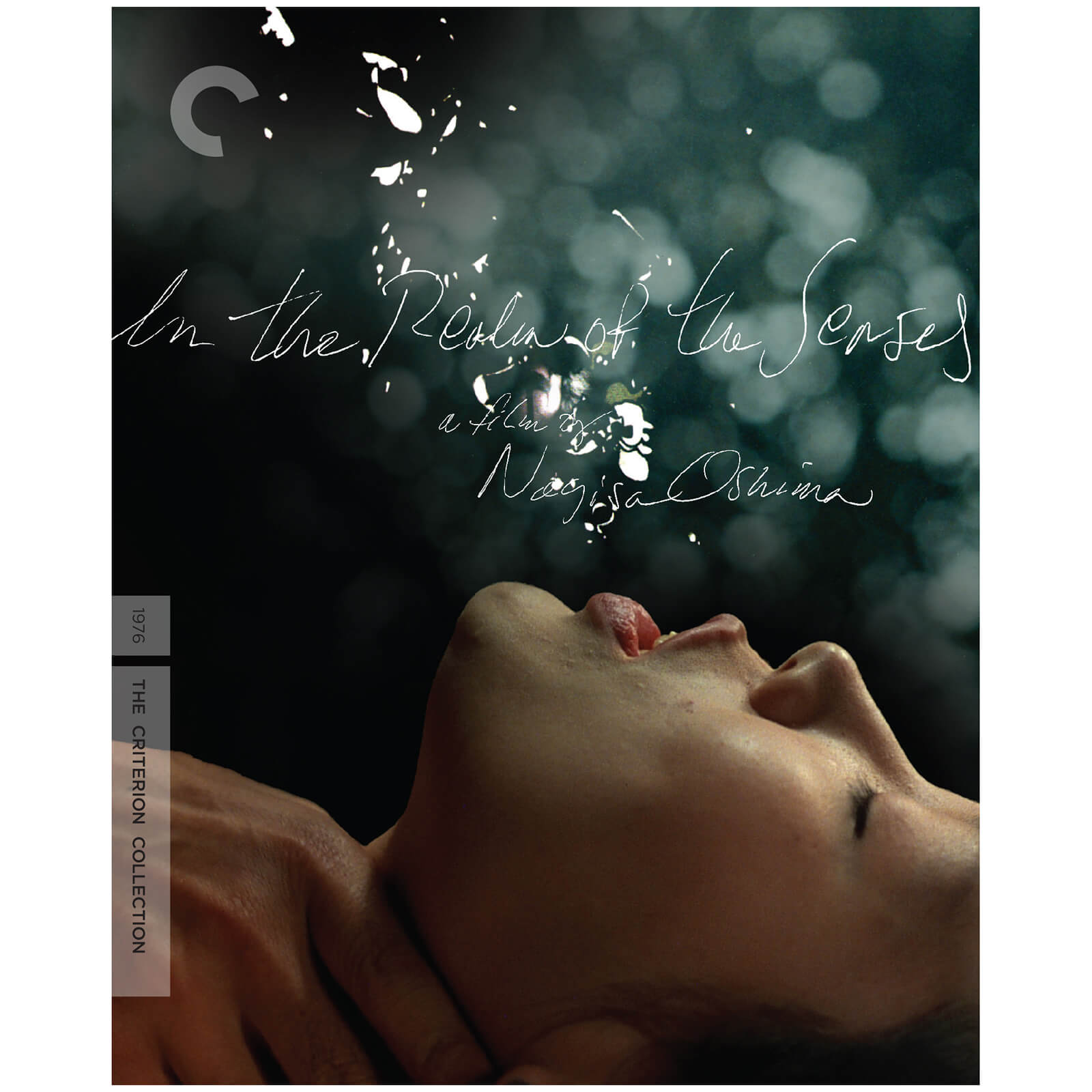 In The Realm Of The Senses - The Criterion Collection