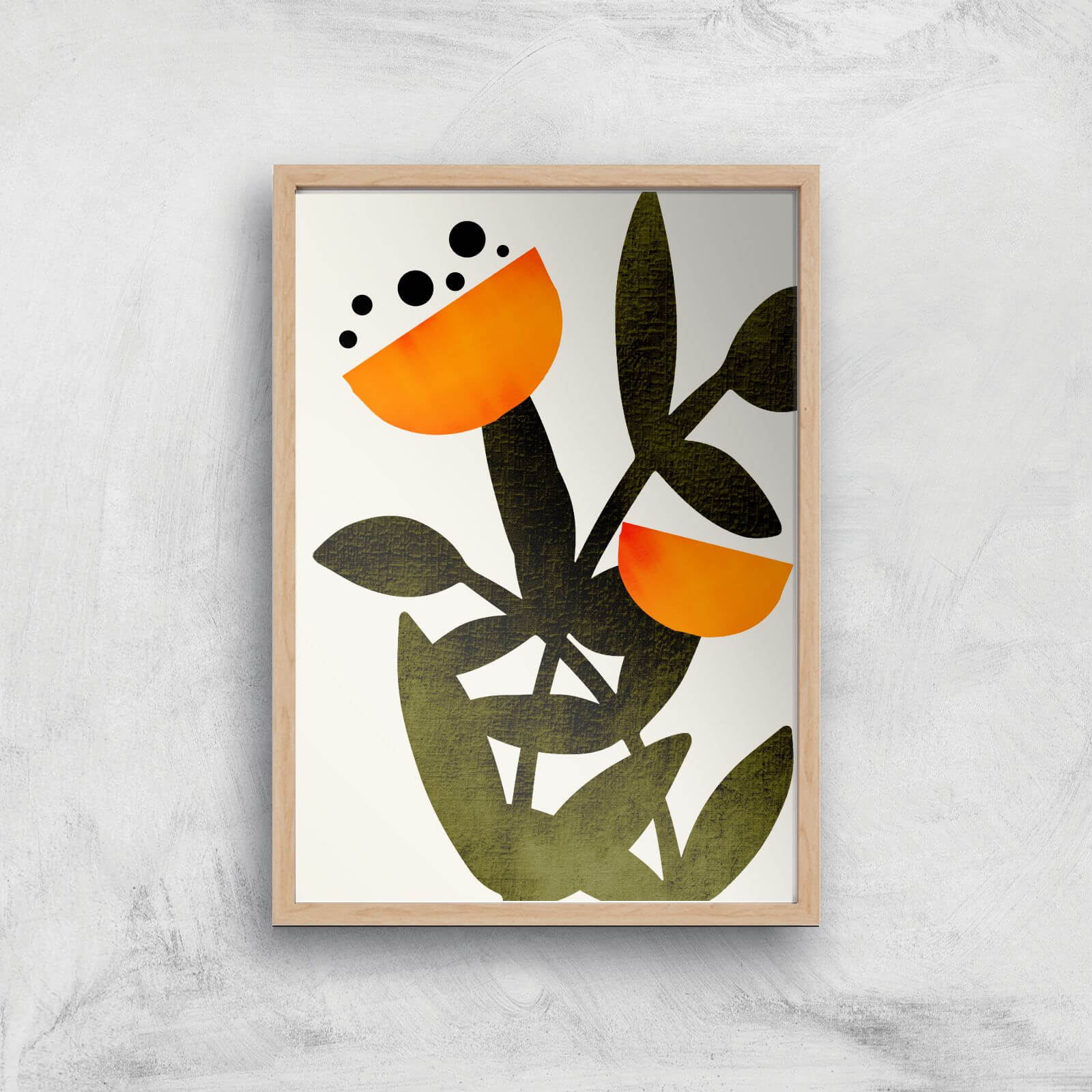 Borris Photography A Flower Called Polly Giclee Art Print - A4 - Wooden Frame