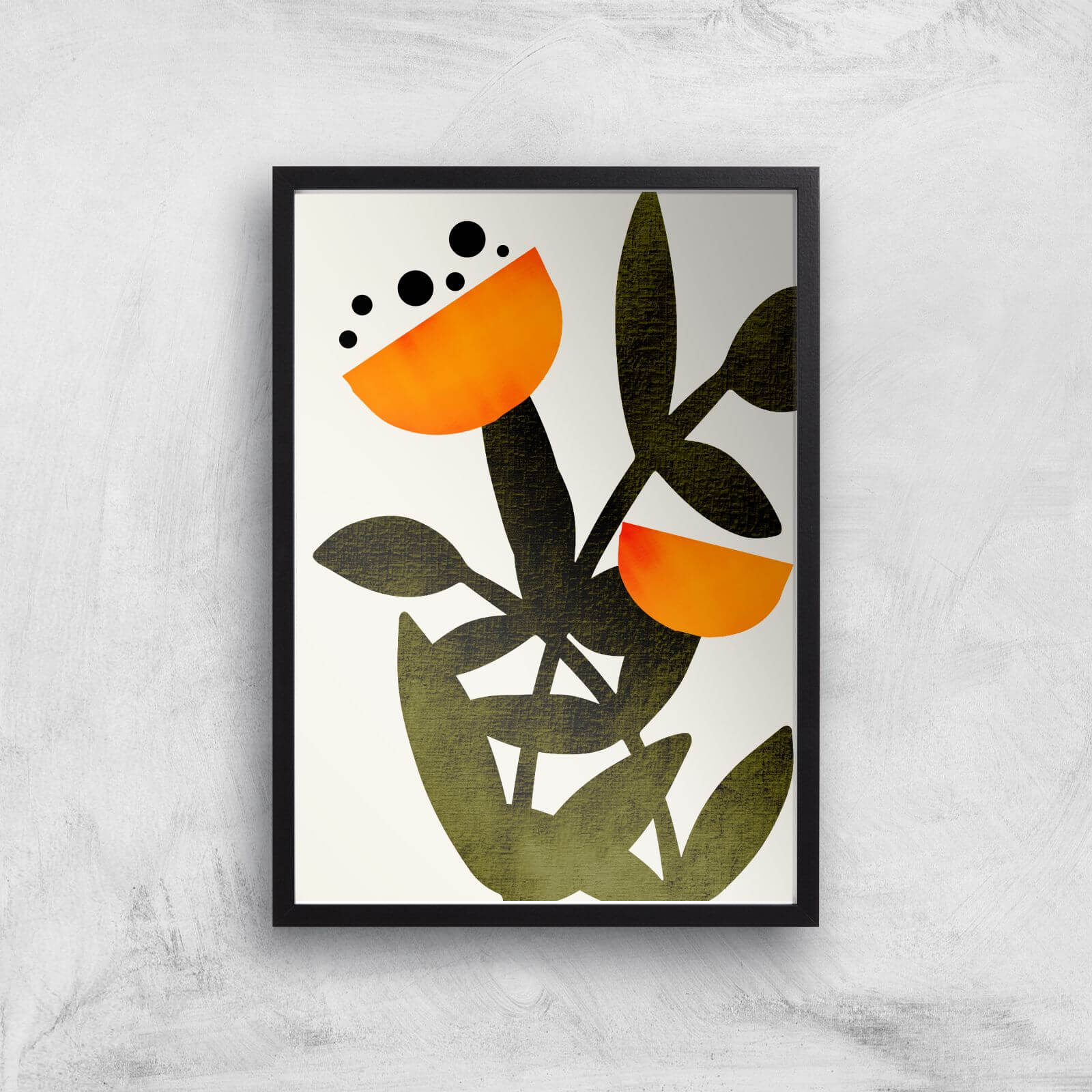 Borris Photography A Flower Called Polly Giclee Art Print - A4 - Black Frame