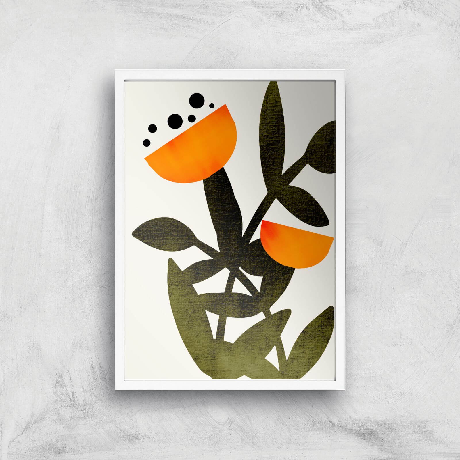 Borris Photography A Flower Called Polly Giclee Art Print - A2 - White Frame