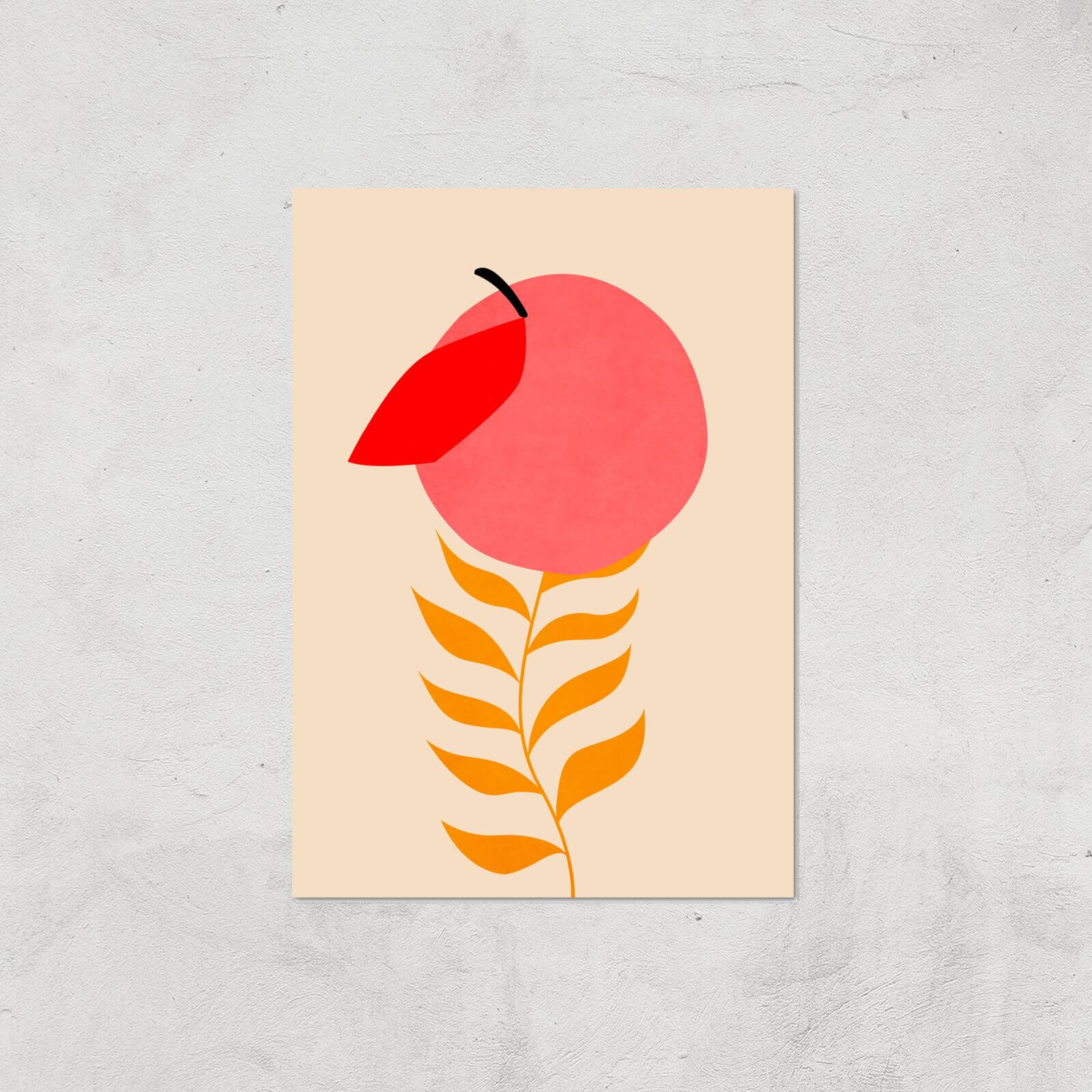 Borris Photography Little Peach Giclee Art Print - A4 - Print Only