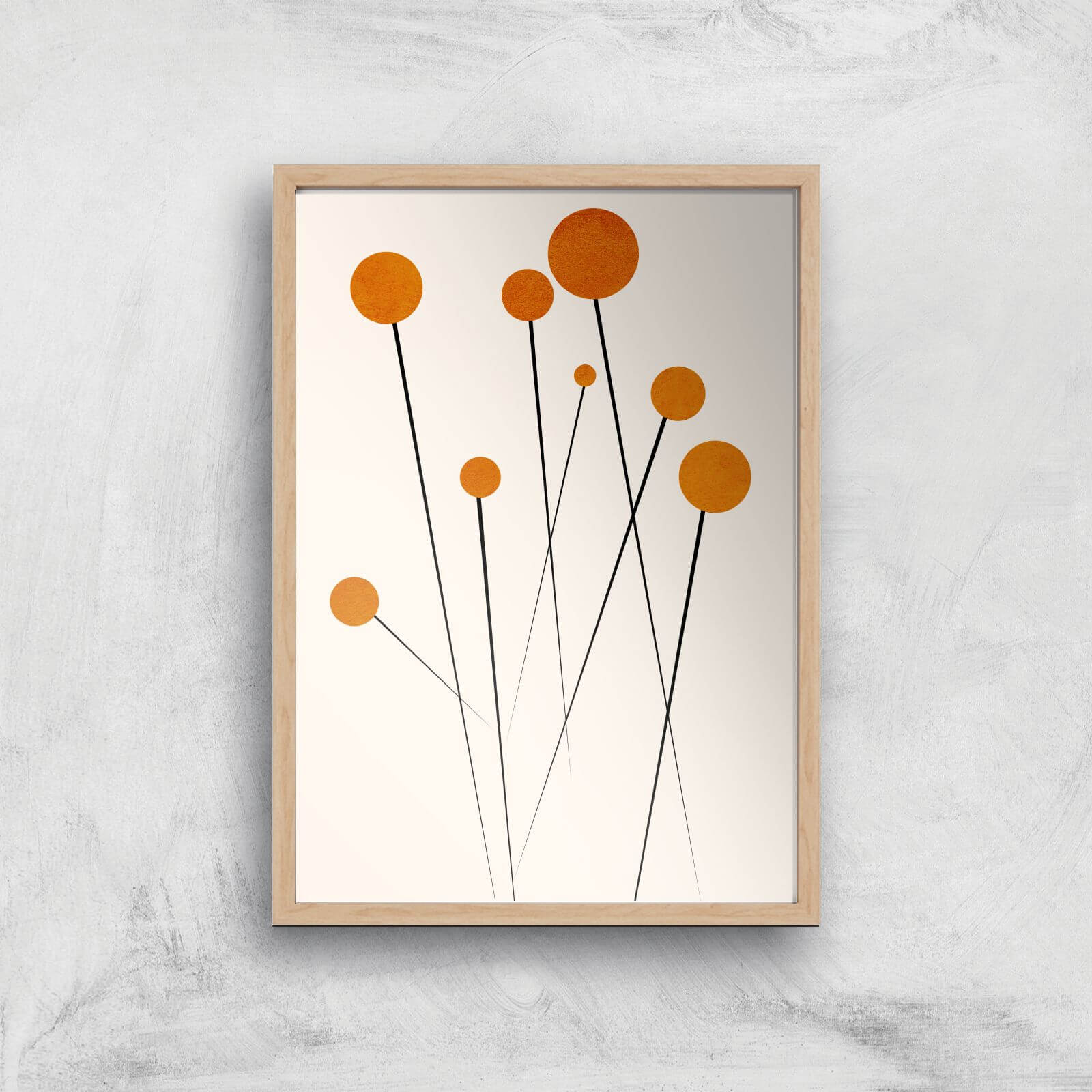 Borris Photography Dreaming Daisies Giclee Art Print - A3 - Wooden Frame