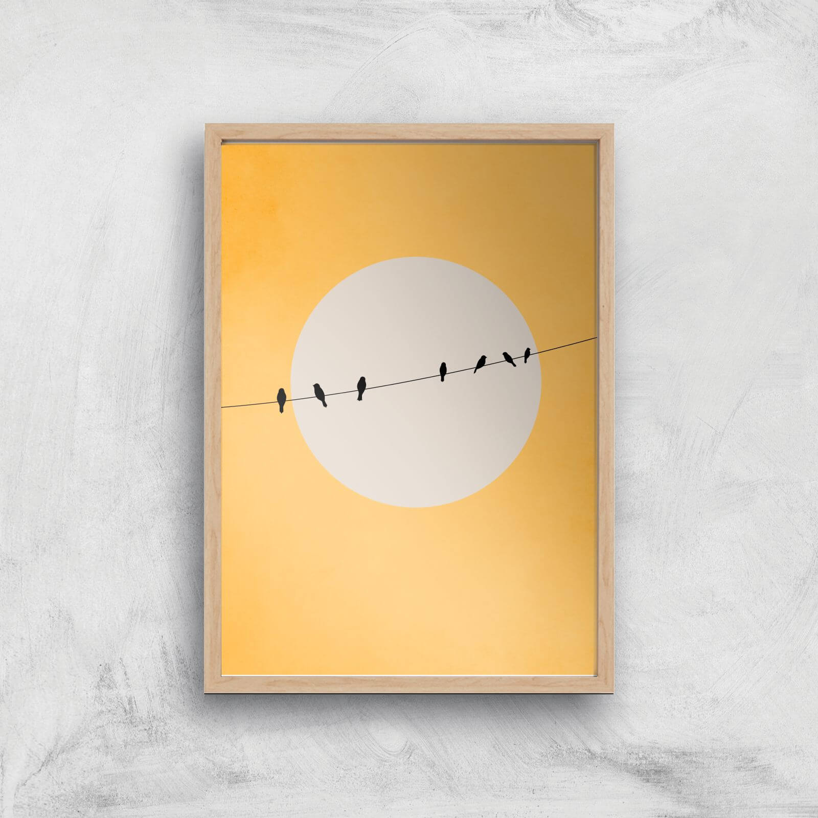 Borris Photography Chirping And Chilling At Day Giclee Art Print - A4 - Wooden Frame