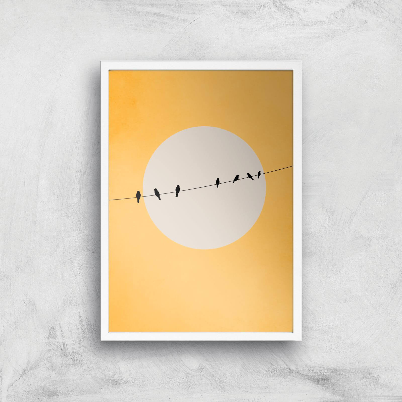 Borris Photography Chirping And Chilling At Day Giclee Art Print - A2 - White Frame