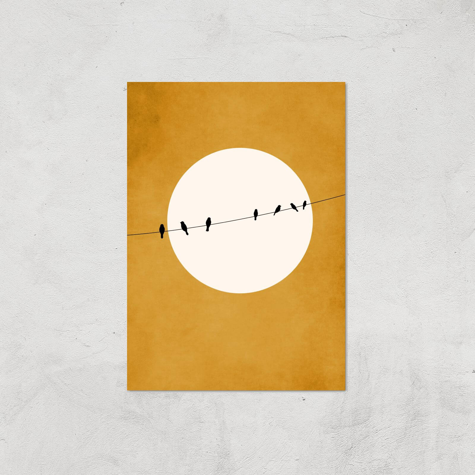 Borris Photography Chirping And Chilling At Night Giclee Art Print - A3 - Print Only