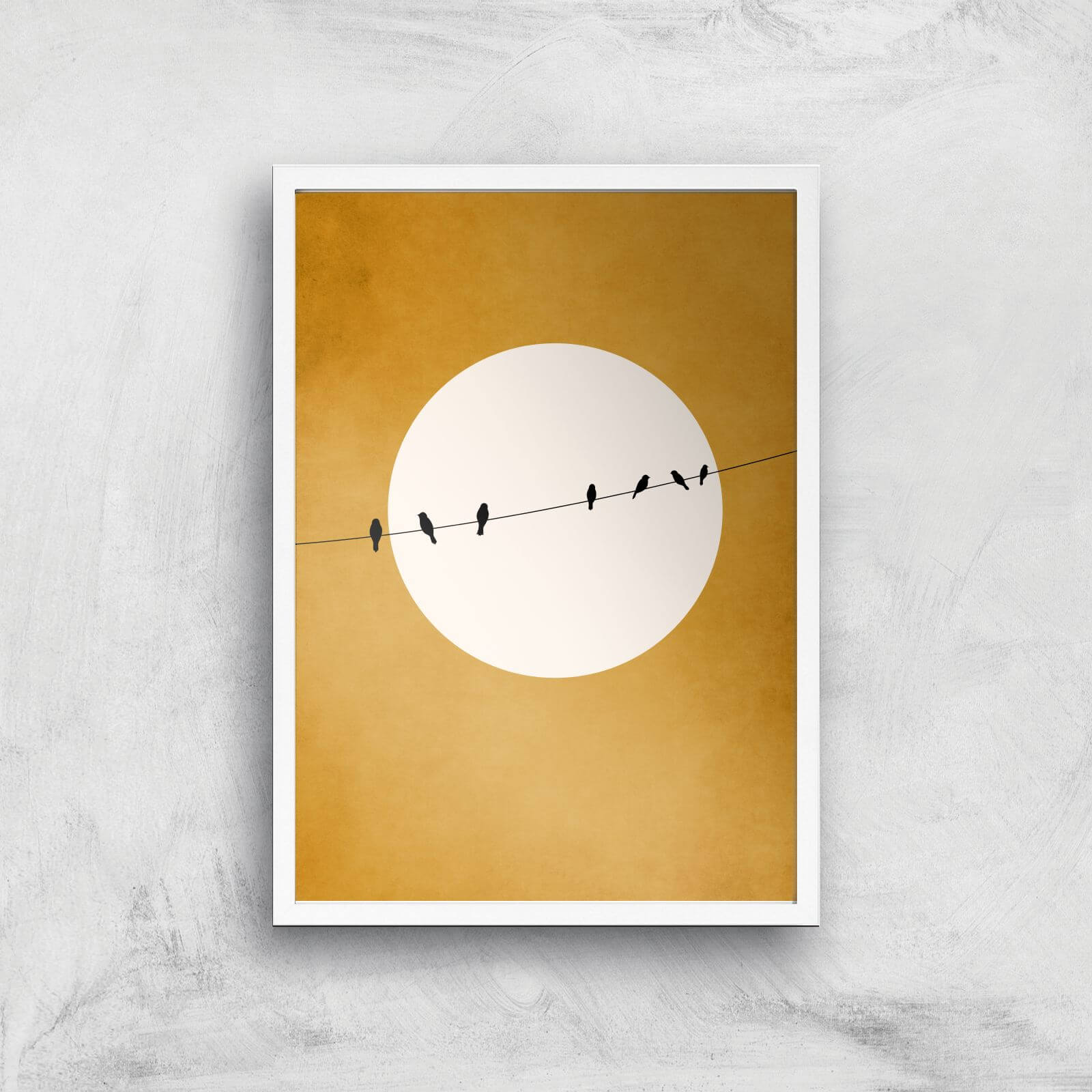 Borris Photography Chirping And Chilling At Night Giclee Art Print - A3 - White Frame