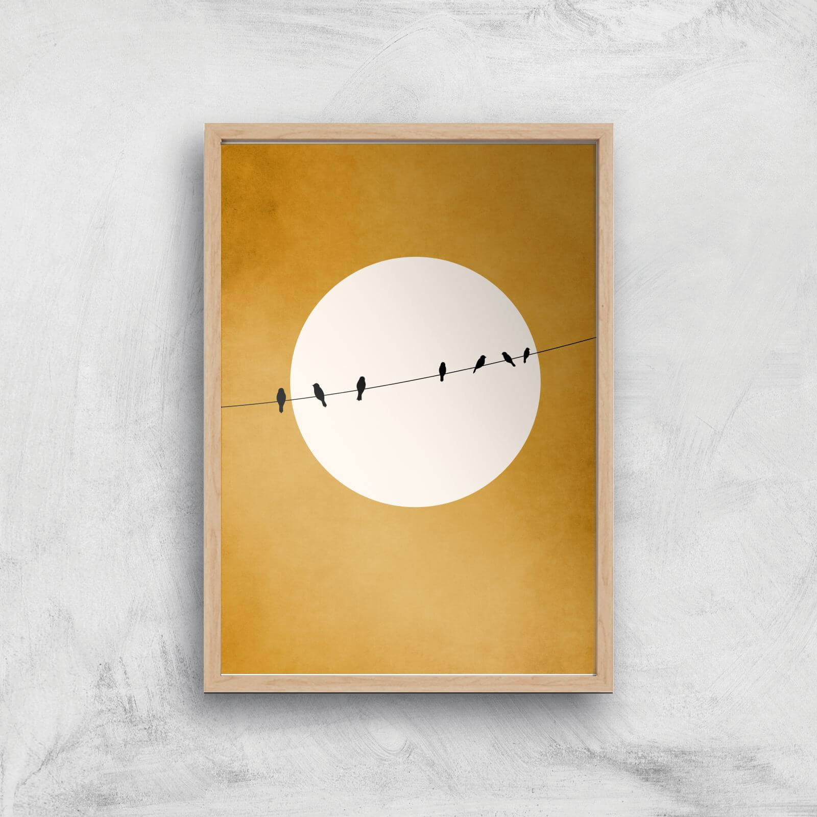 Borris Photography Chirping And Chilling At Night Giclee Art Print - A2 - Wooden Frame